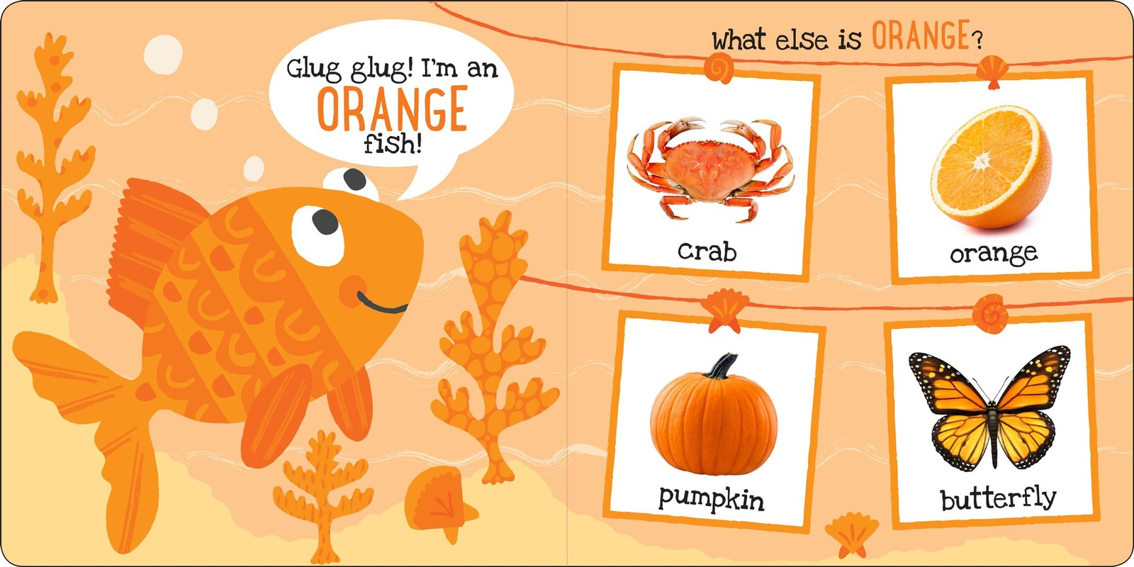 My First COLORS Padded Board Book