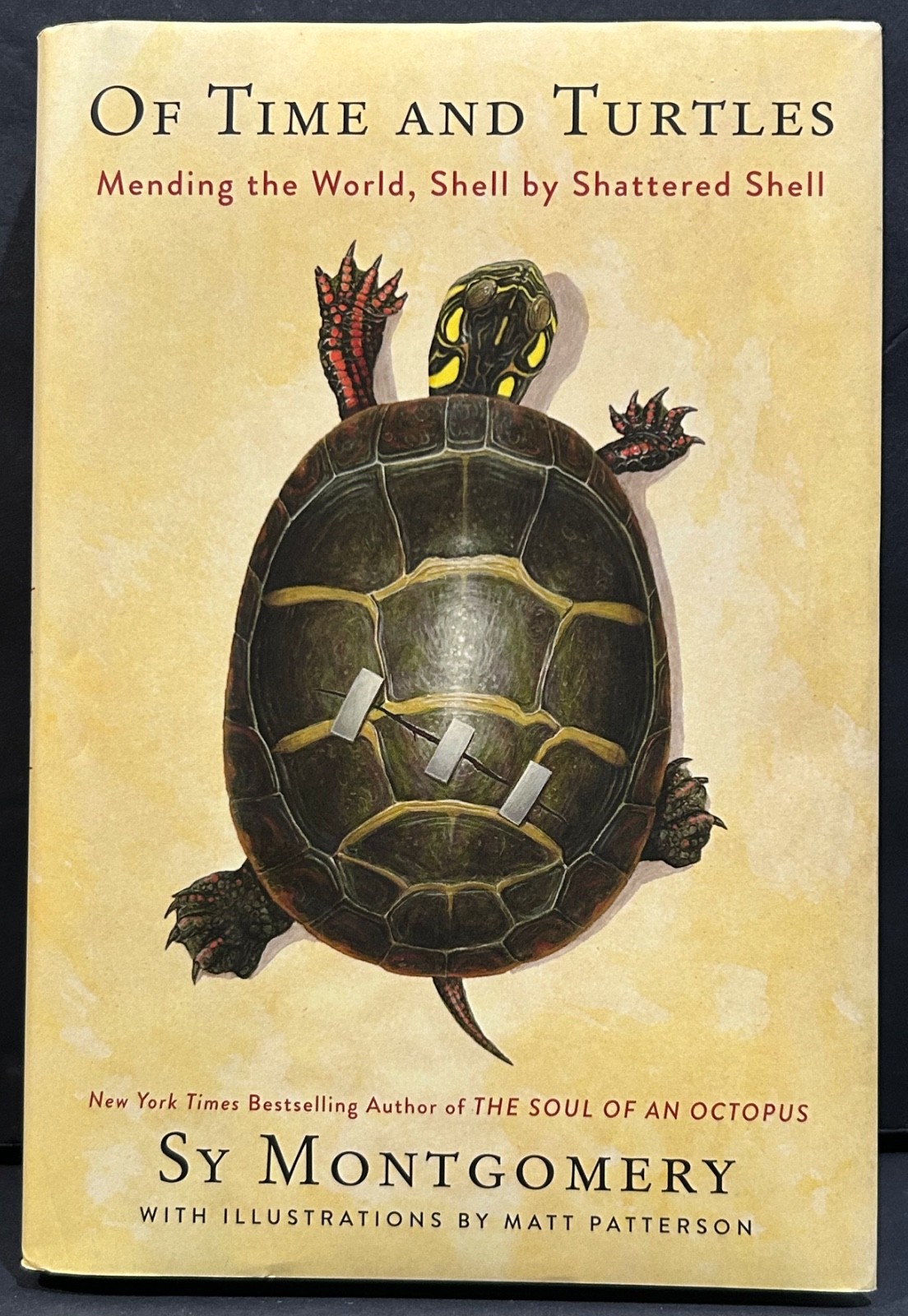 Of Time and Turtles: Mending the World Shell by Shattered Shell Sy Montgomery HC