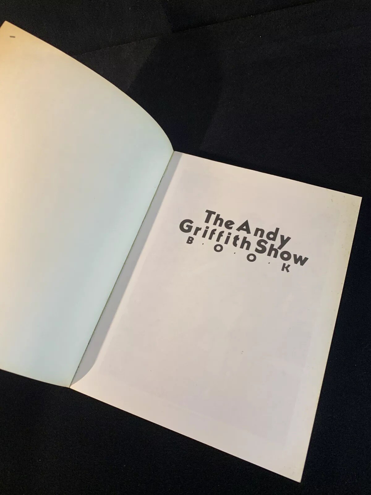 The Andy Griffith Show Book by Ken Beck & Jim Clark 1985 SIGNED