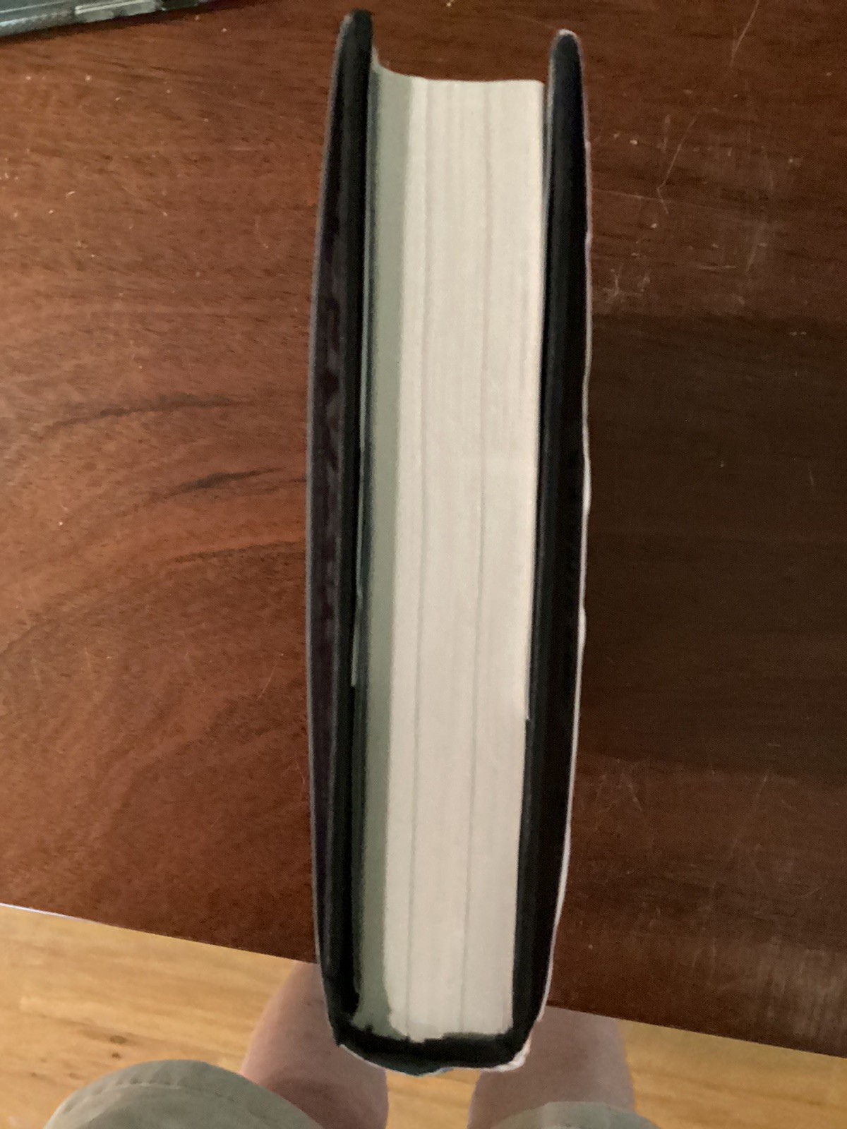 Where the Axe Is Buried Ray Nayler (2025, HC) Like New SIGNED FIRST EDITION