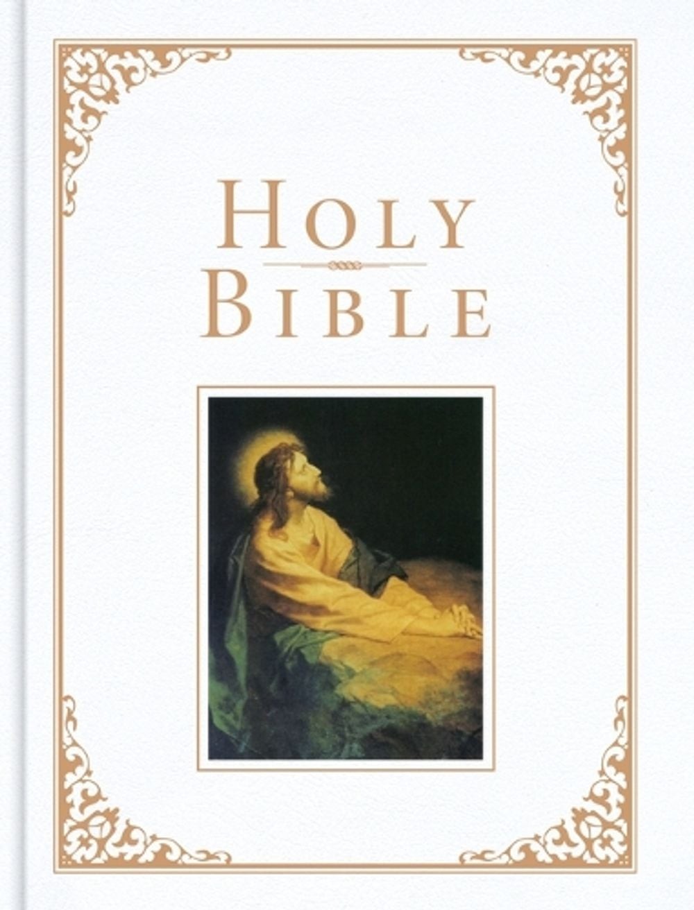 KJV Family Bible, Deluxe White Bonded Leather-Over-Board by Katy Morgan (English