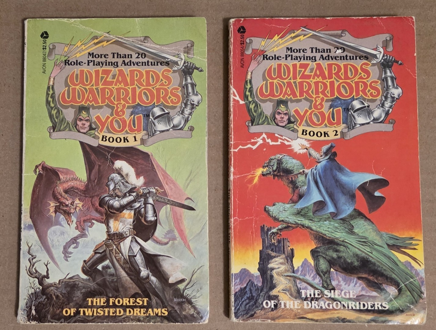 Wizards, Warriors & You – Books 1 & 2 – R. L. Stine & Eric Affabee
