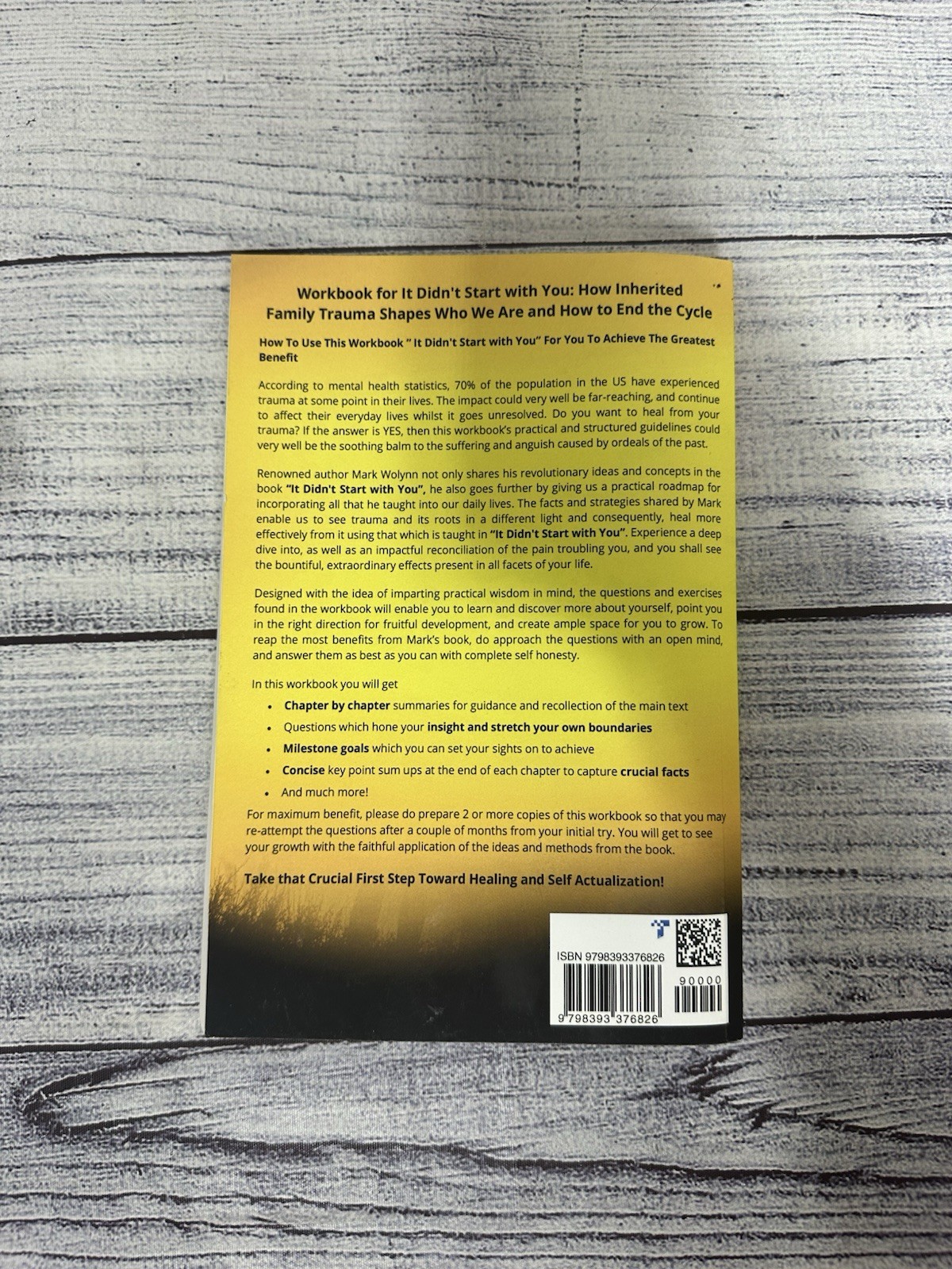 Workbook For It Didn’t Start With You Mark Wolynn Genie