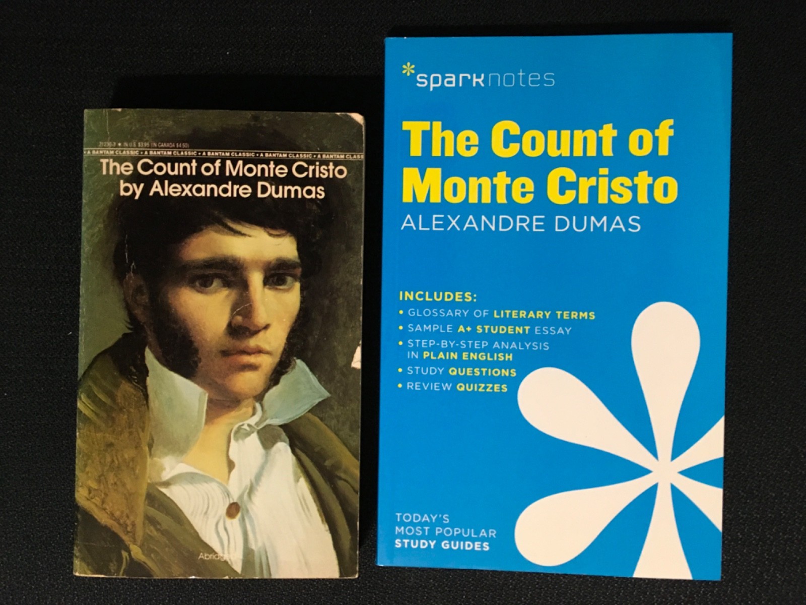 Lot THE COUNT OF MONTE CRISTO by Allexander Dumas Novel + SparkNOTES Study Guide