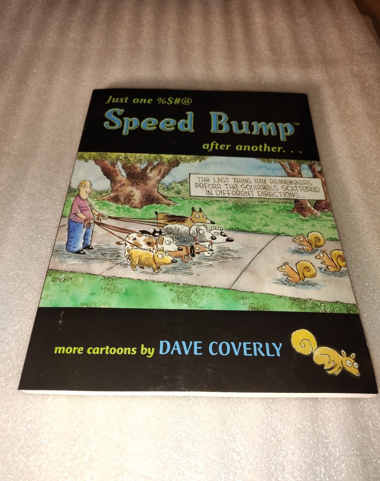 Speed Bump after another Dave Coverly 2005 Cartoon Humor ECW Press