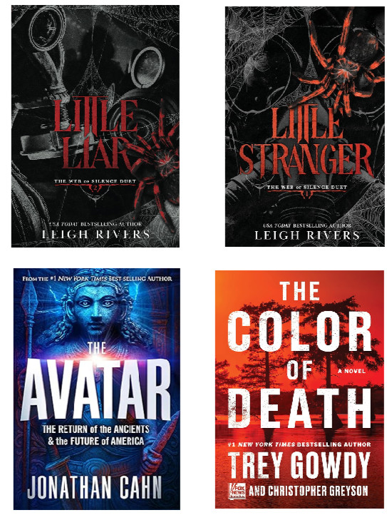 4 book set Avatar+Color+Liar+Stranger by Leigh Rivers Free Shipping Paperback