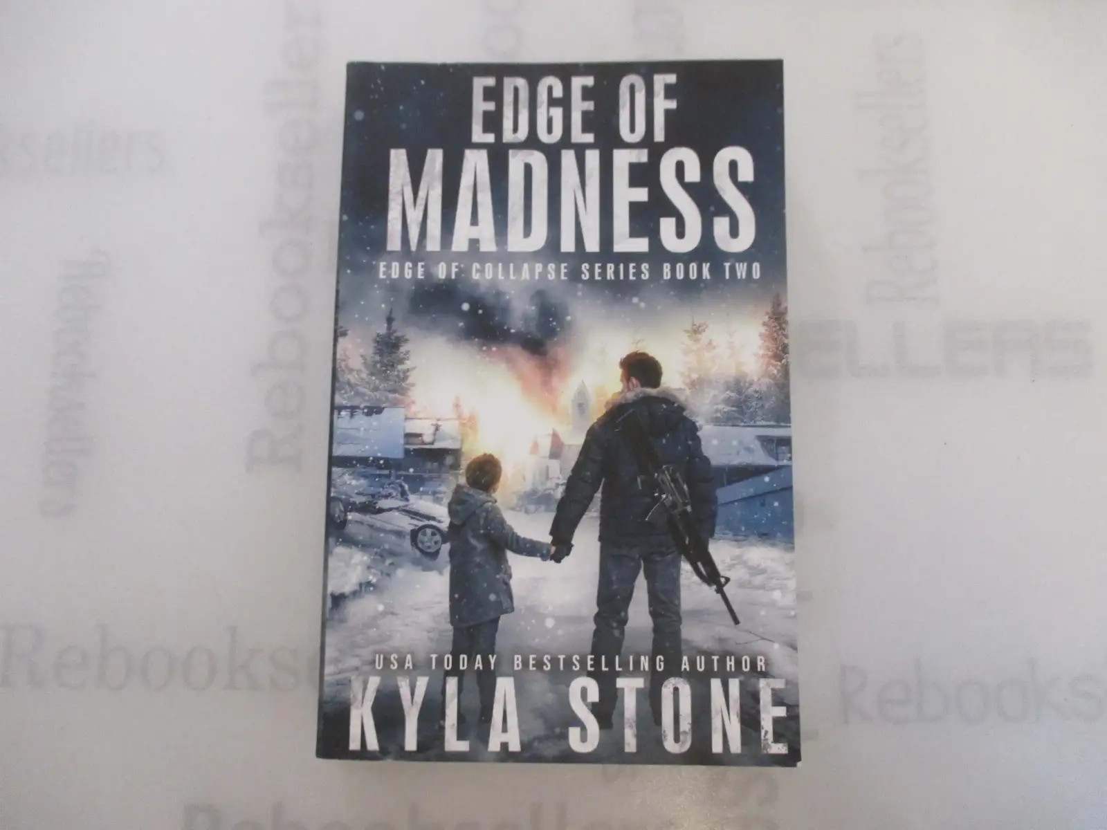 Edge of Madness: A Post-Apocalyptic EMP Survival Thriller (Edge of Collapse)