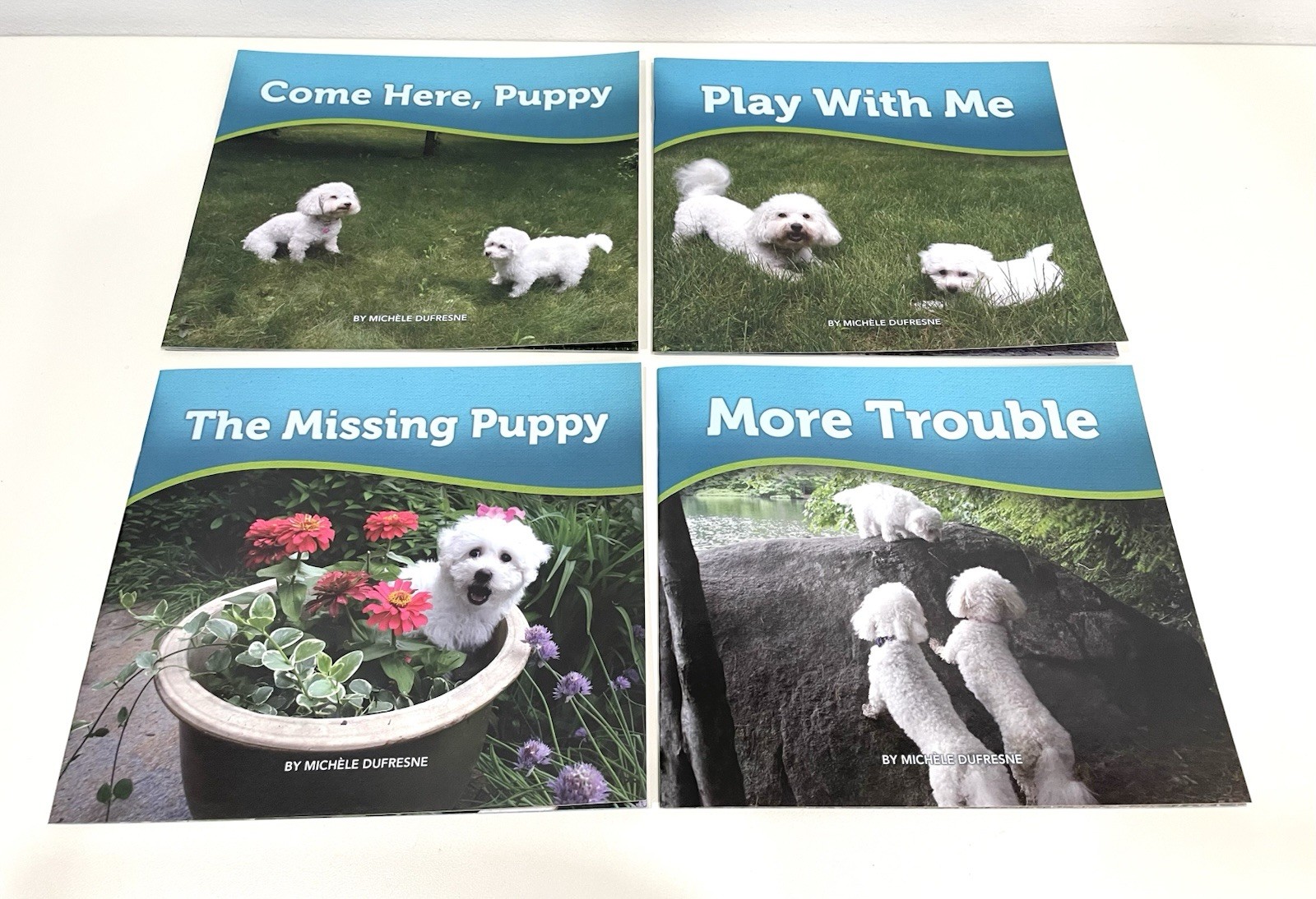 Bella & Rosie Early Reader Books 4 Variety Pioneer Valley Dufresne Homeschool D