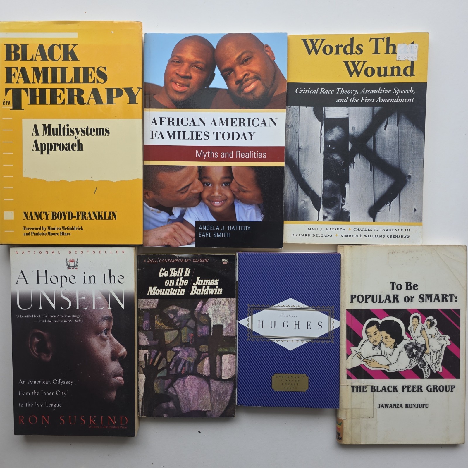 African American Studies Book Lot Baldwin Crenshaw, Black Families, Race Culture