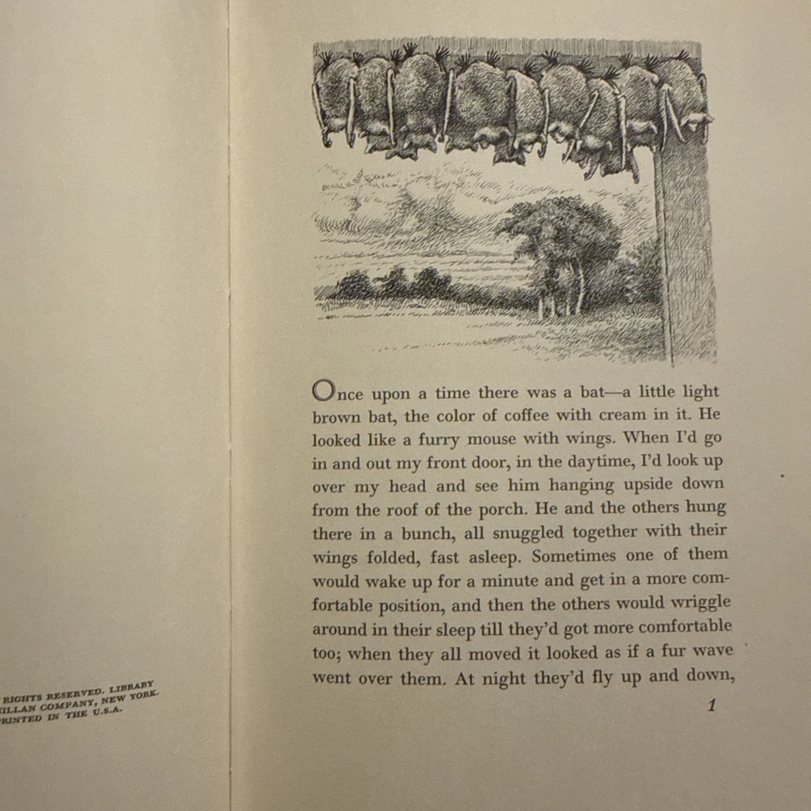 The Bat-Poet Randall Jarrell 1963 HC w/ Dust Jacket Maurice Sendak Illustrated