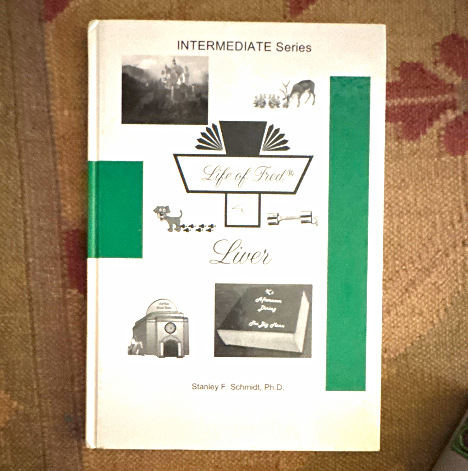 Life of Fred: Liver (Intermediate Series) Hardcover by Stanley F. Schmidt, Ph.D.
