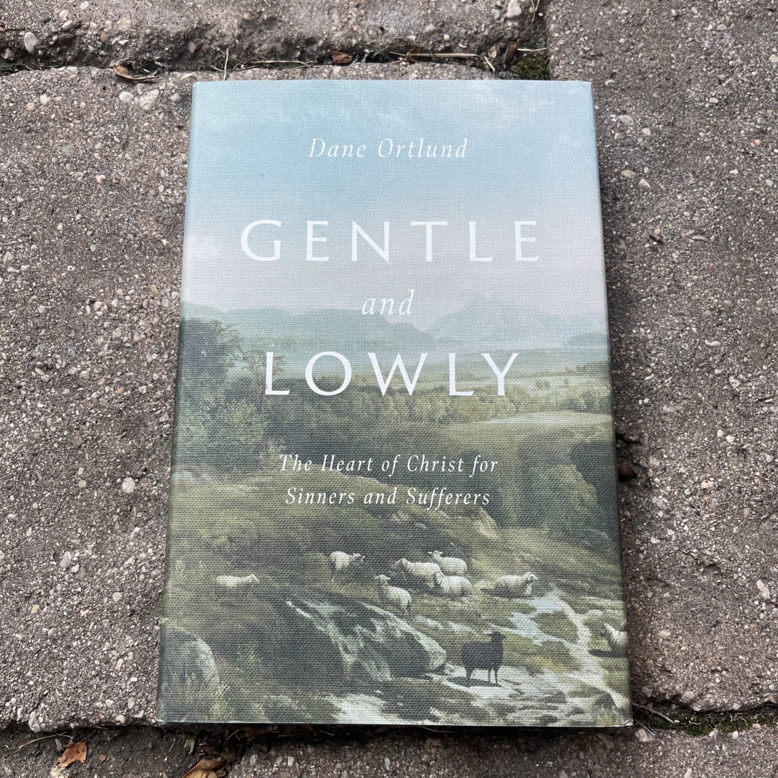 Gentle and Lowly : The Heart of Christ for Sinners and Sufferers by Dane Ortlund
