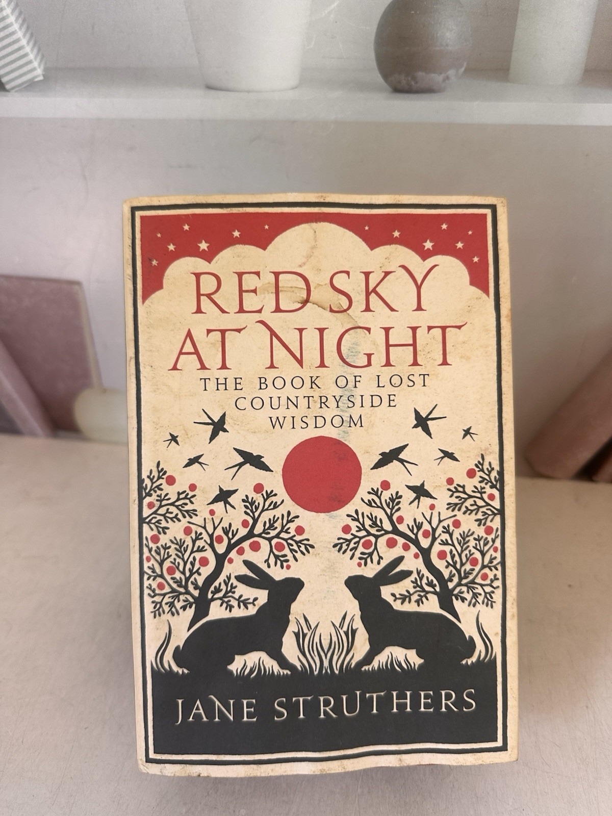 Red Sky at Night: The Book of Lost Countryside Wisdom by Jane Struthers