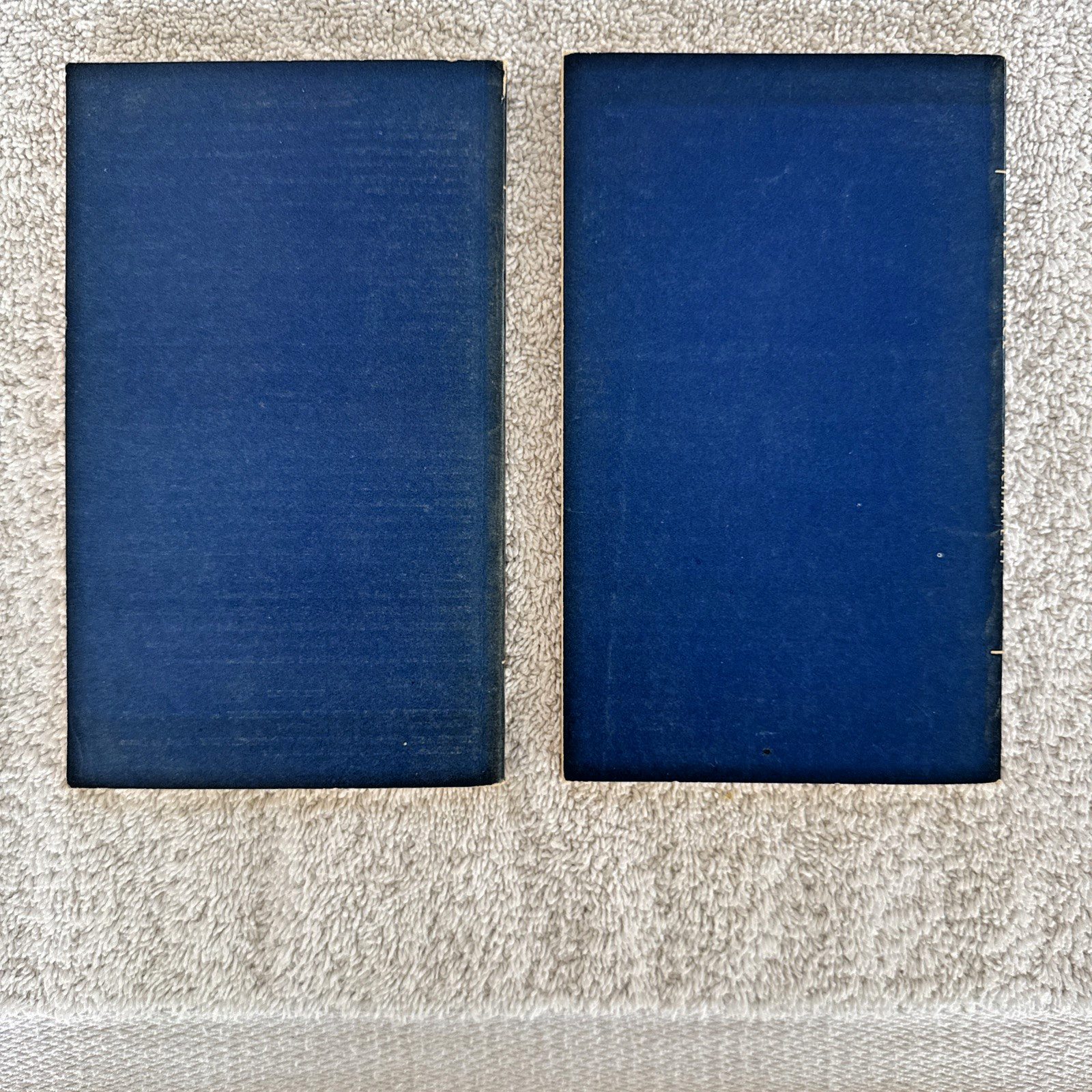 Inferno by Dante Alighieri & The Prince Nicole Machiavelli Thomas G.Bergin 1948