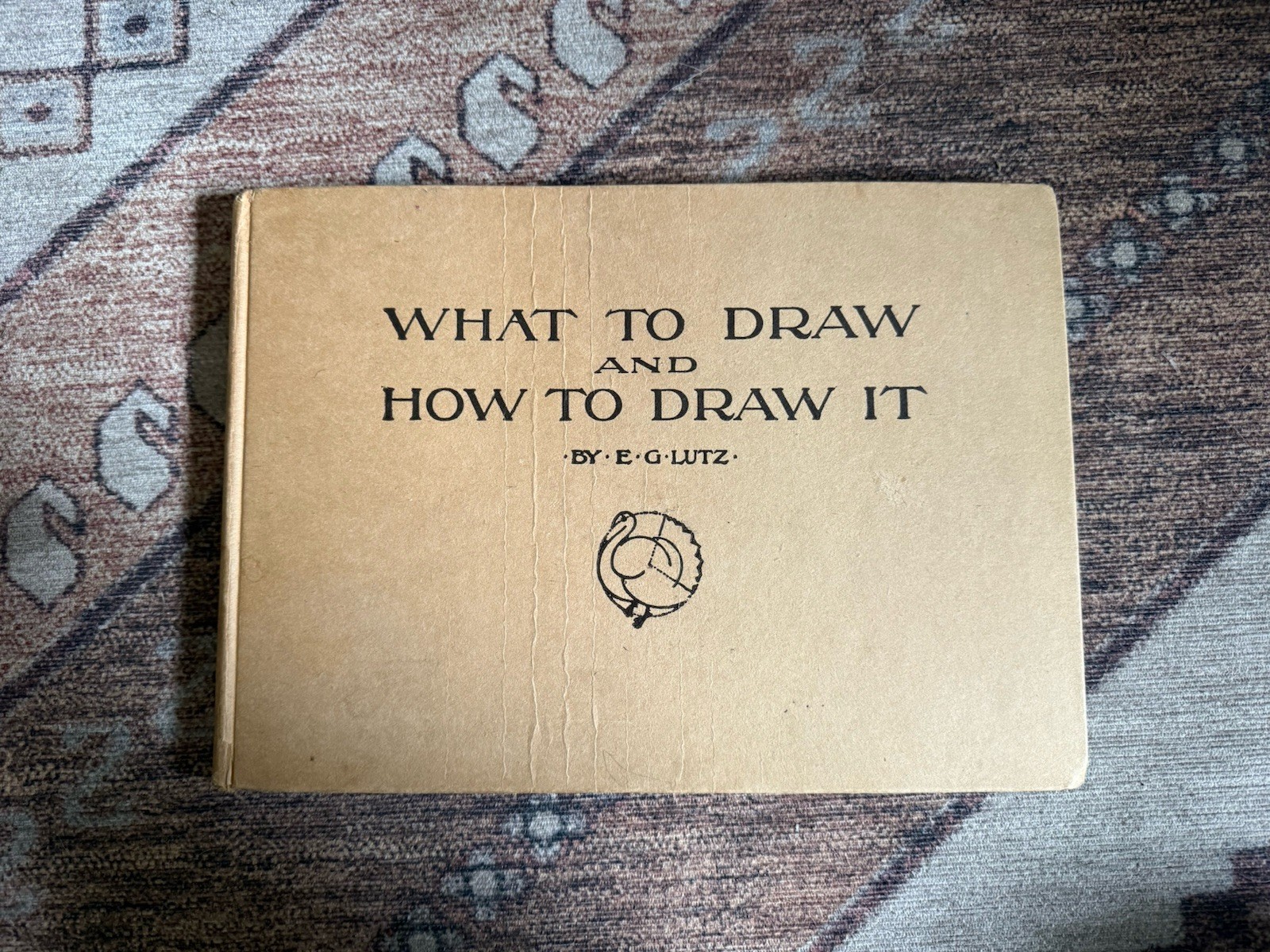 Rare Antique Book What to Draw and How to Draw It E.G. Lutz 1919 Hardcover
