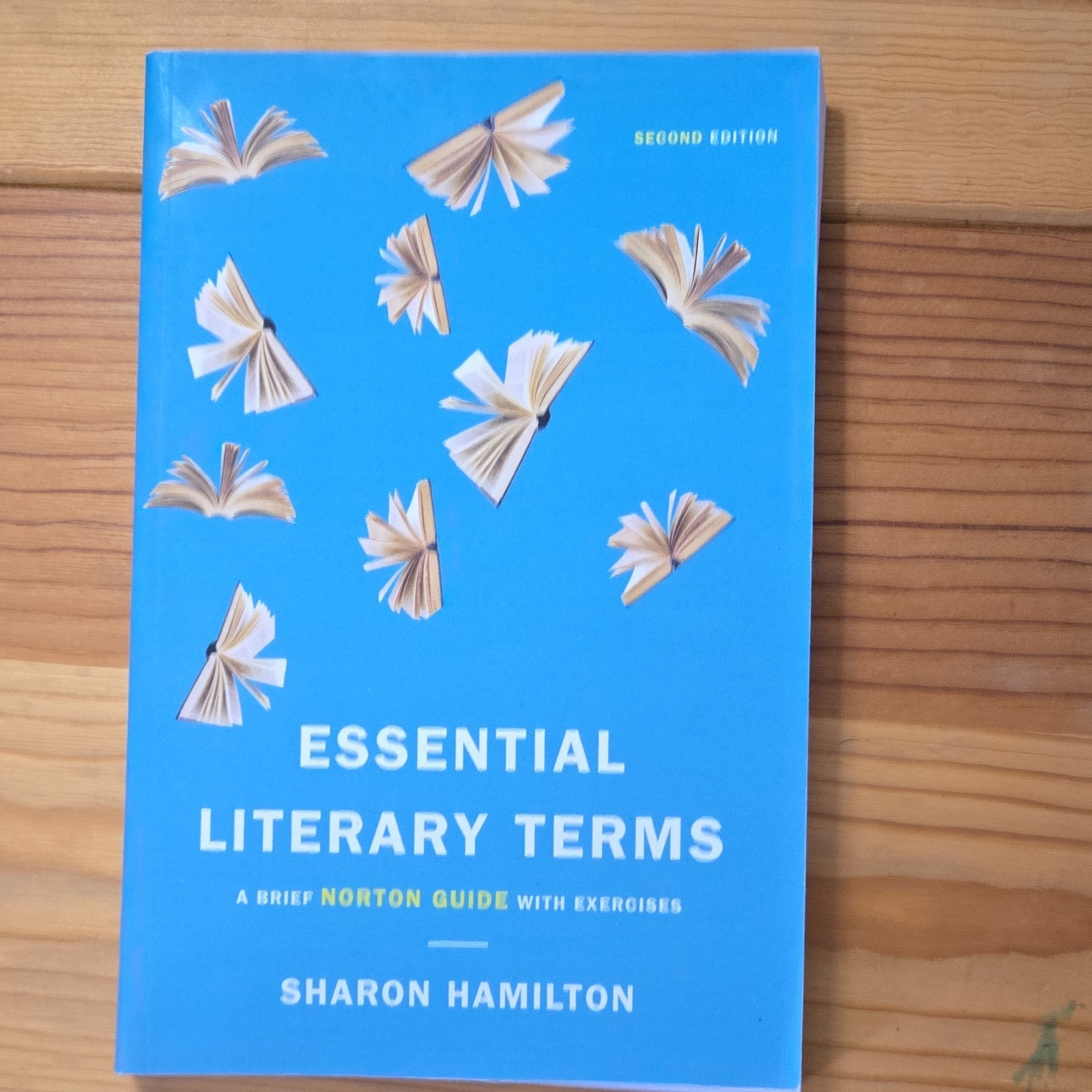 W. W. Norton Essential Literary Terms by Sharon Hamilton Paperback 2nd Ed Guide