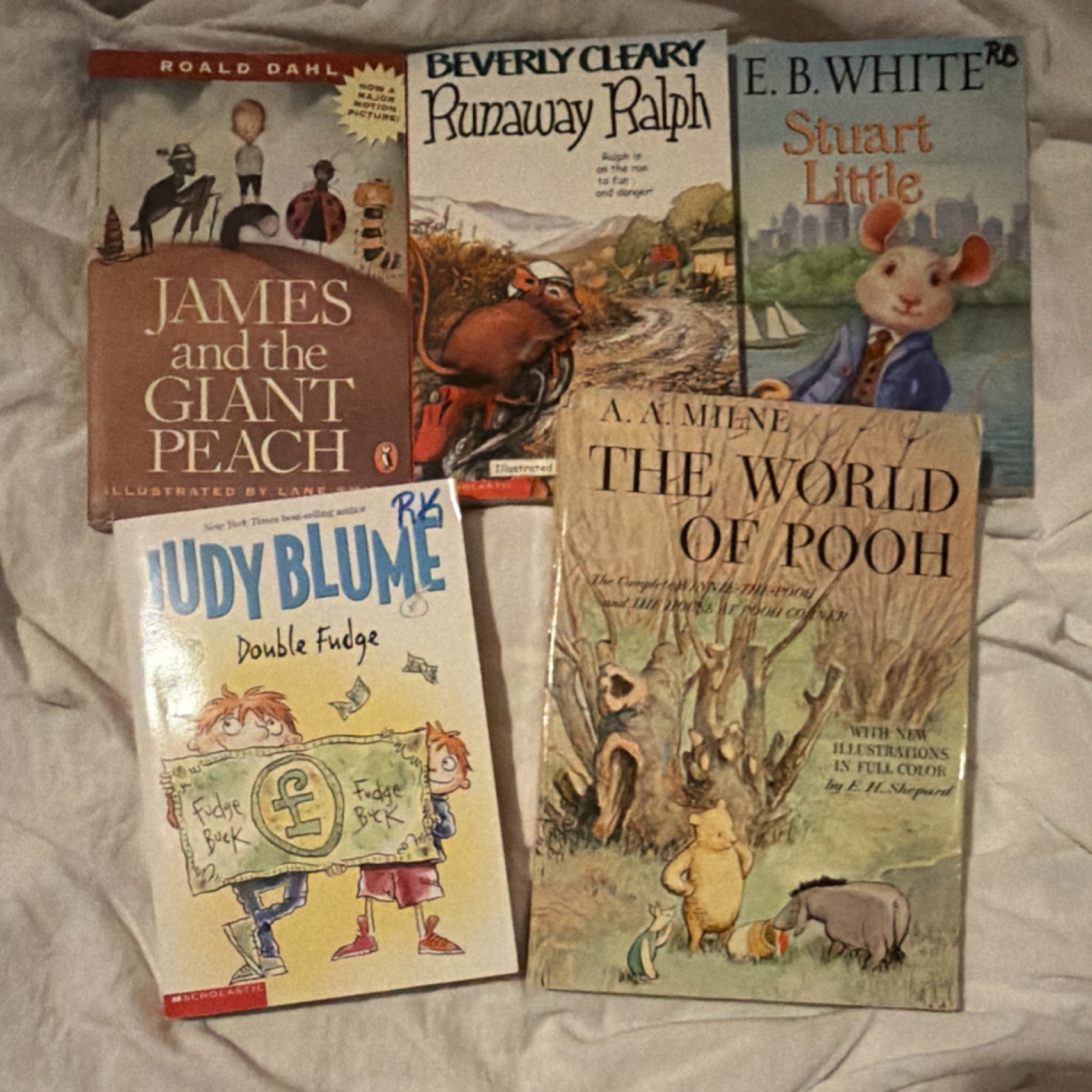 Lot of 5 Children’s Fiction Books – Roald Dahl, Beverly Cleary, Adventure