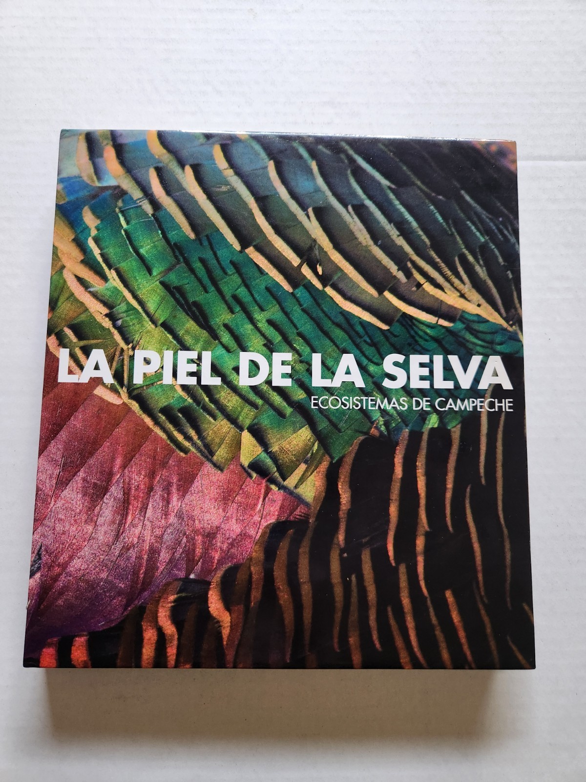 Skin of the Rainforest: Ecosystems in Campeche Mexico Pictorial Science Travel