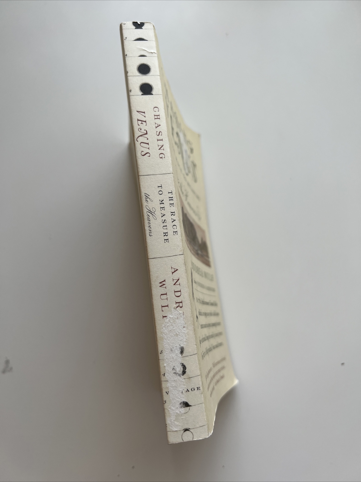 Chasing Venus : The Race to Measure the Heavens by Andrea Wulf (2013, Trade…