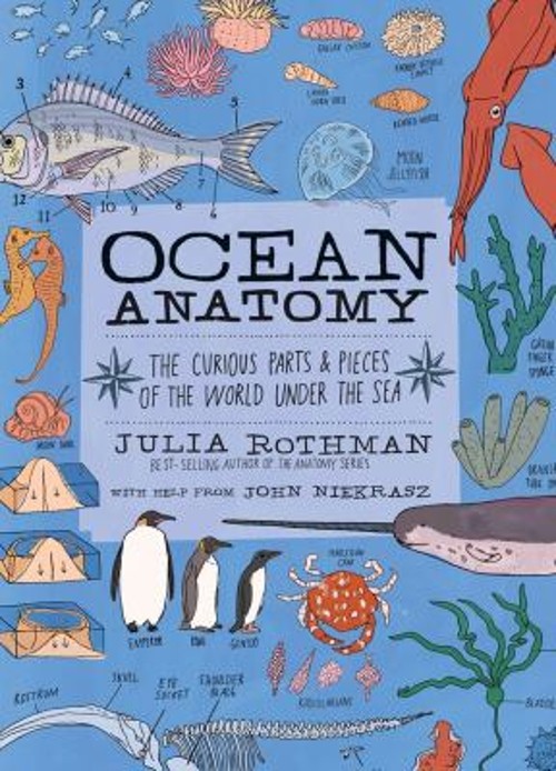Ocean Anatomy : The Curious Parts and Pieces of the World under t