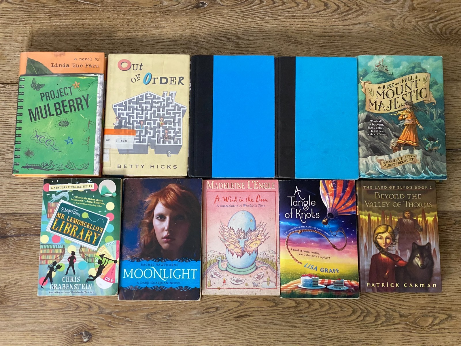 BOYS Chapter Books Lot of 10 ~ 8-12 Years Old – Classroom Library Homeschool