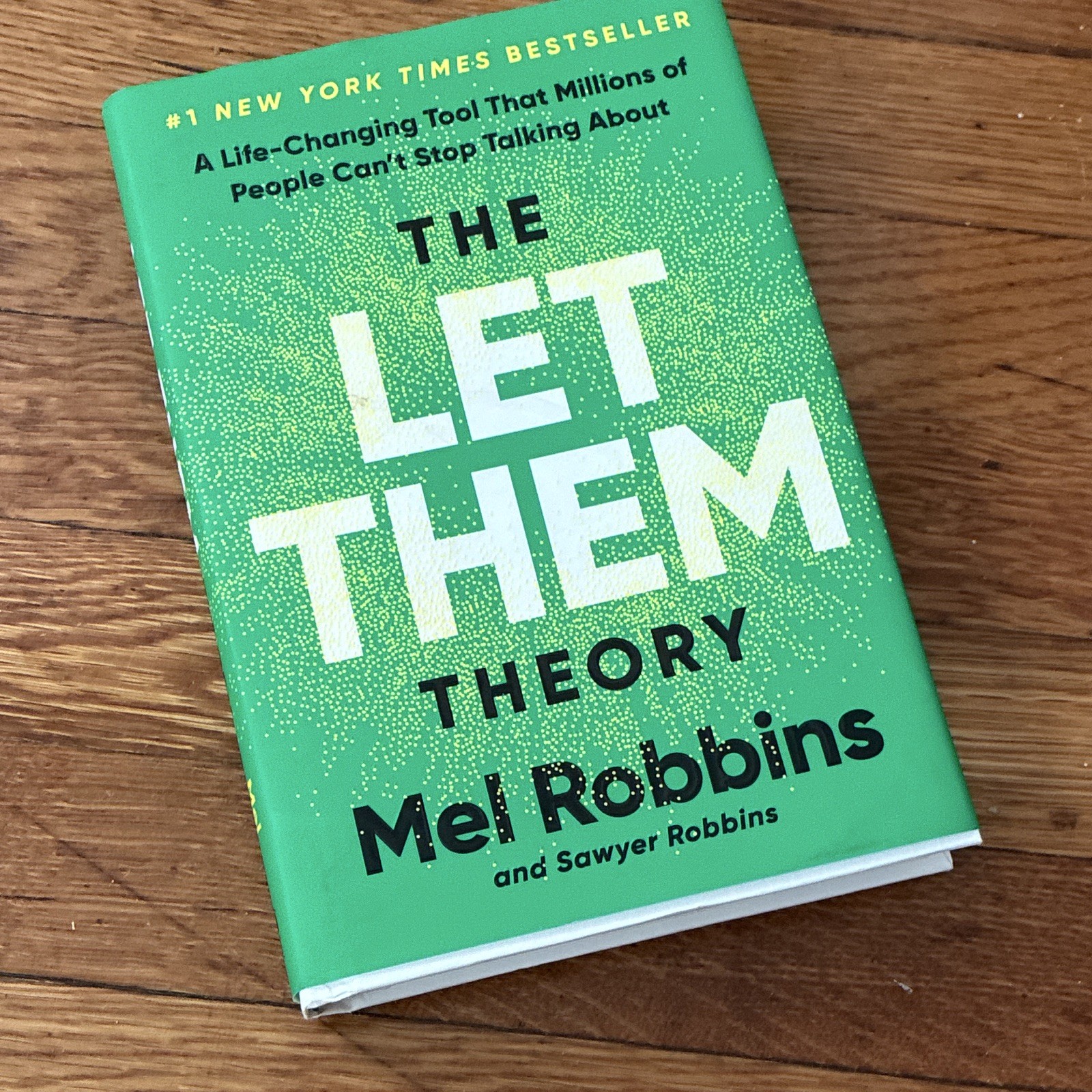 Mel Robbins & Sawyer Robbins The Let Them Theory (2024, Hardcover)