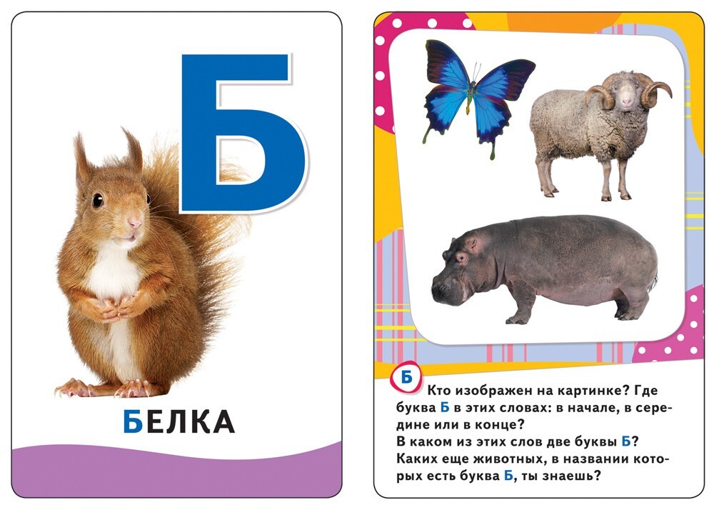 Буквы. Развивающие карточки 0+ Набор Карточек Kids Book in Russian
