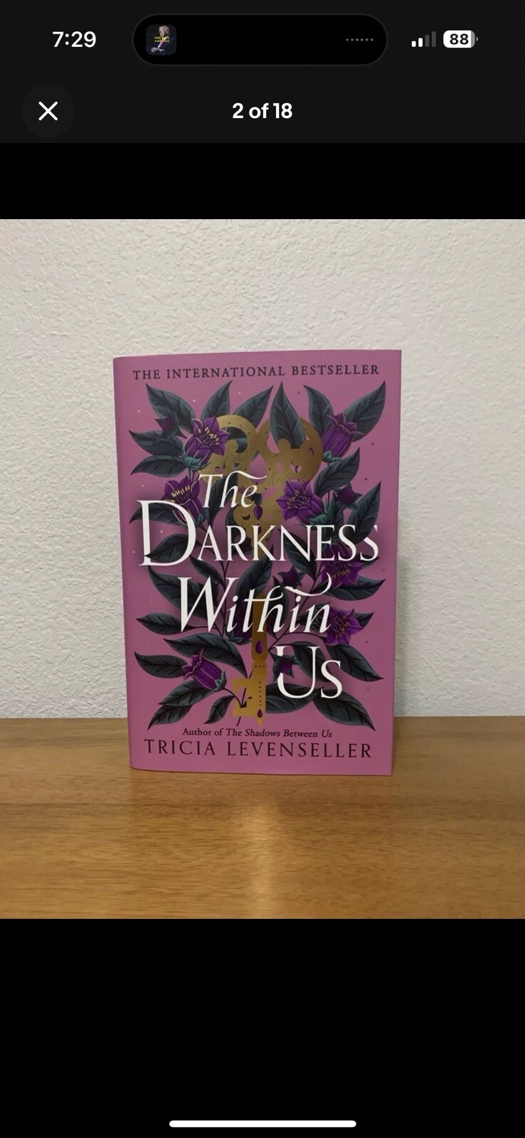 The Darkness Within Us – Exclusive Fairyloot Edition Sprayed Edges
