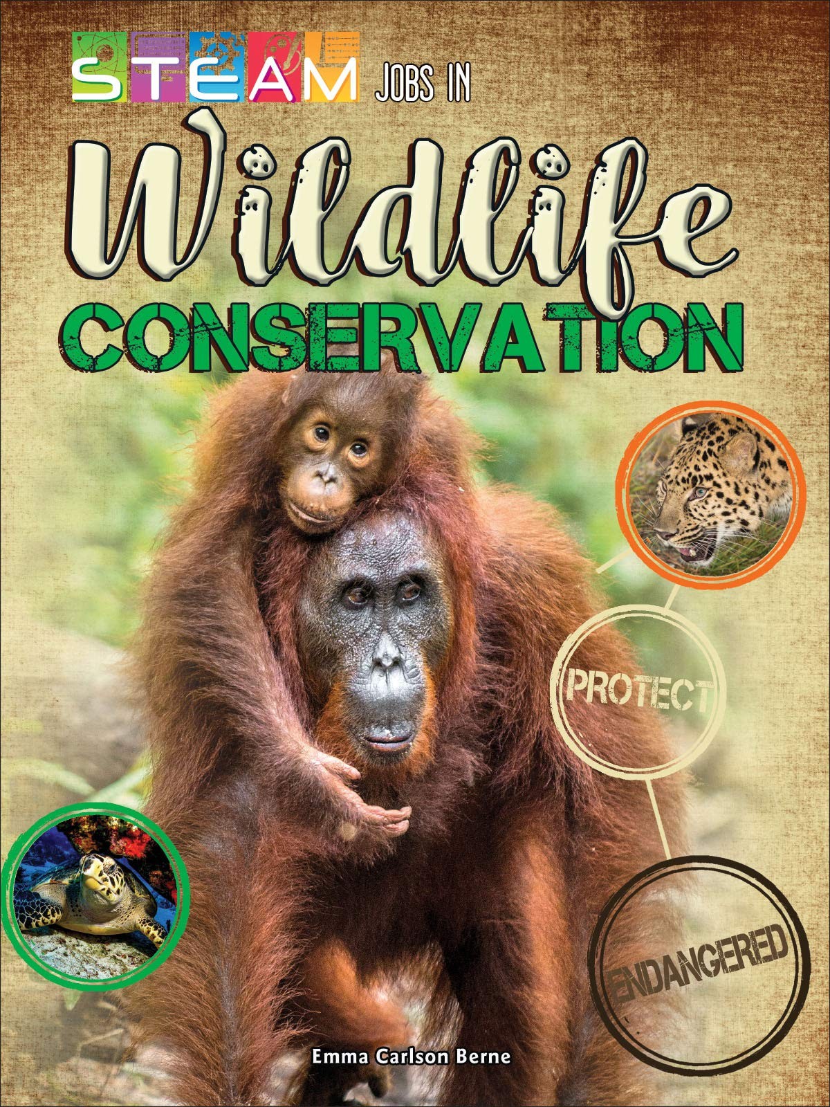 STEM Jobs in Wildlife Conservation (STEAM Jobs You’ll Love)
