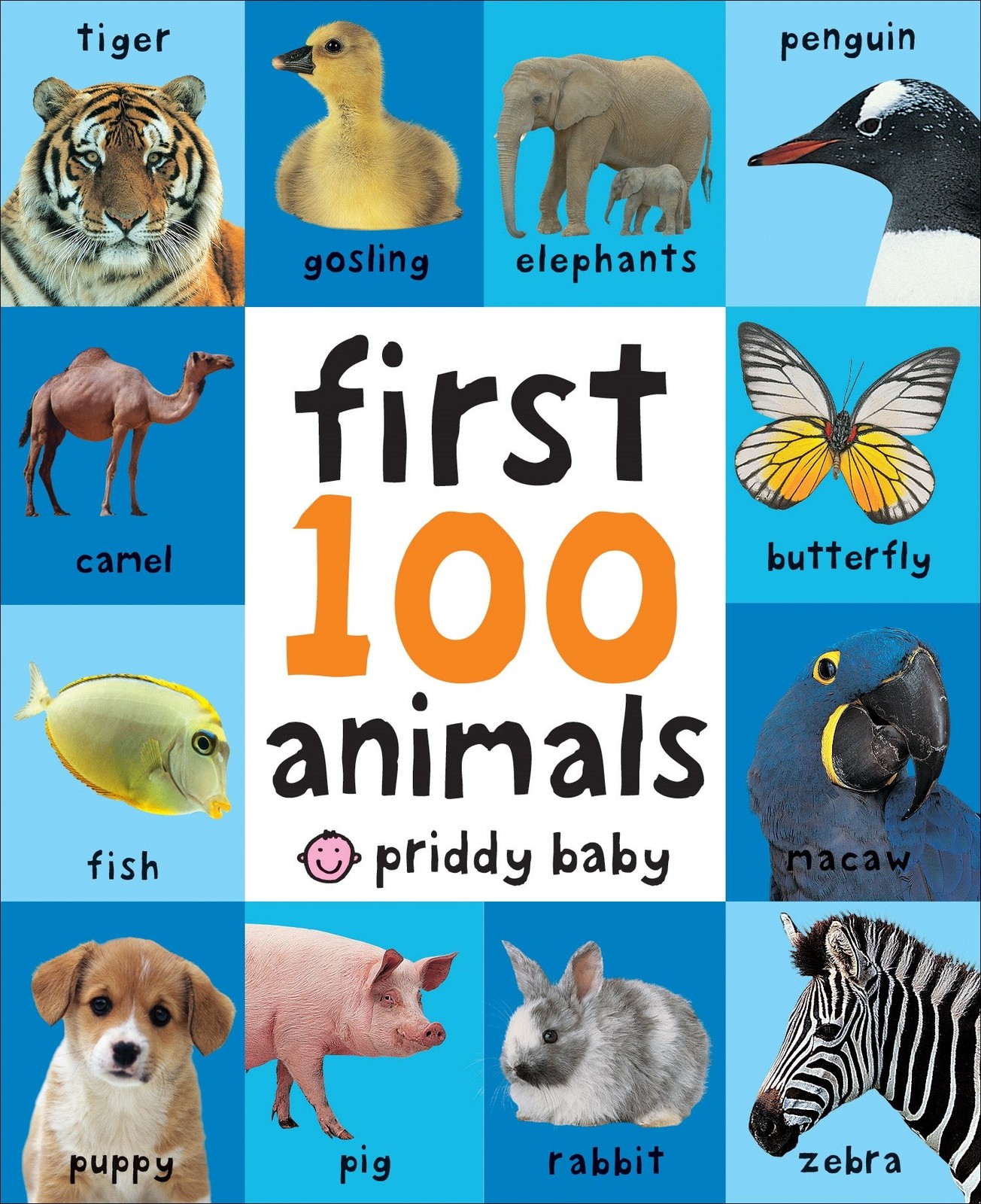 First 100 Animals: A padded book―perfect for little hands to hold