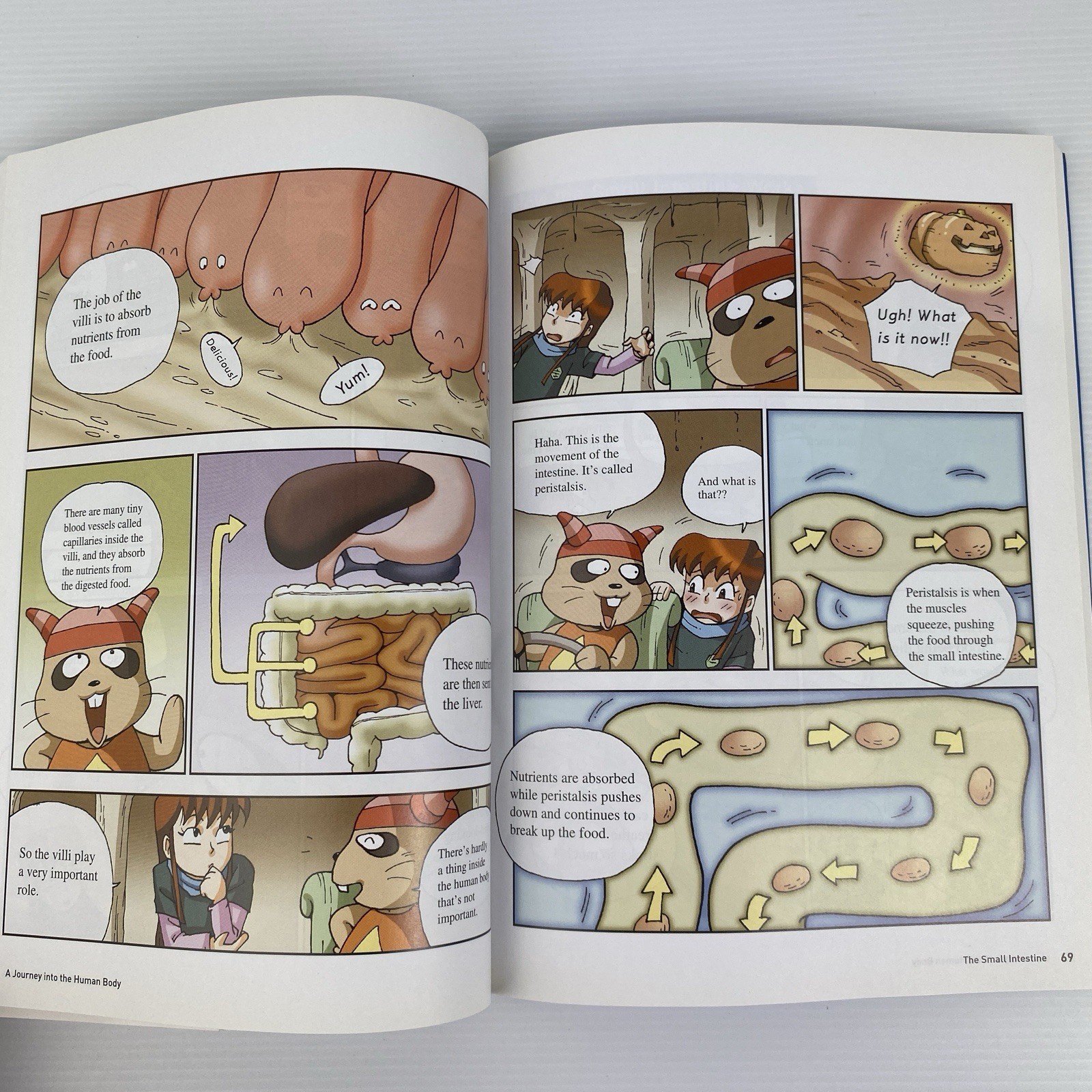 A Journey Into the Human Body – Educational Manga, Anatomy, Science, Homeschool