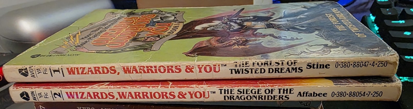 Wizards, Warriors & You – Books 1 & 2 – R. L. Stine & Eric Affabee