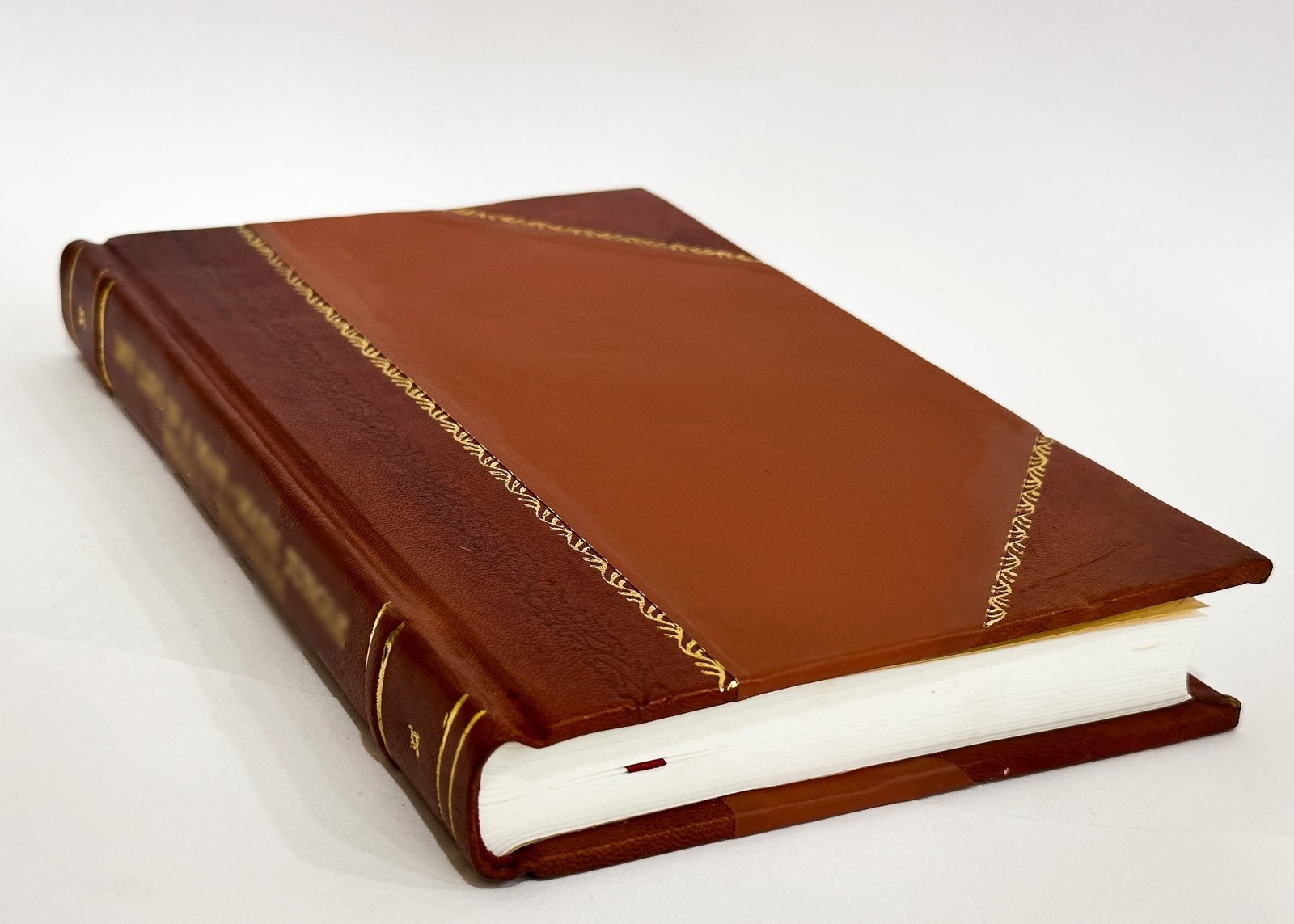 On Some Tertiary Foraminifera from Borneo Collected by Professo [Leather Bound]