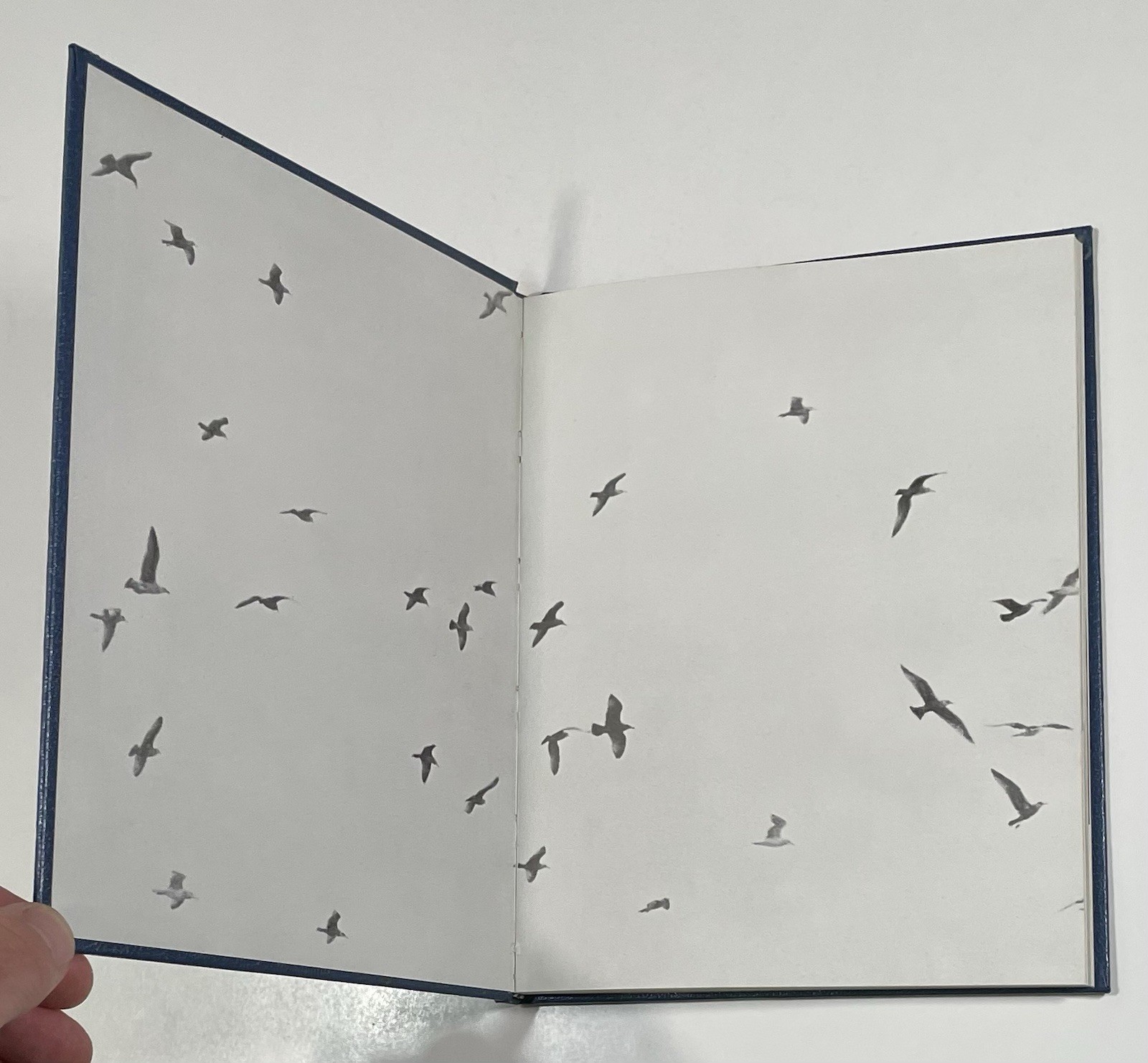 Jonathan Livingston Seagull RICHARD BACH 1970 Deluxe Hardback + Silver Slipcase