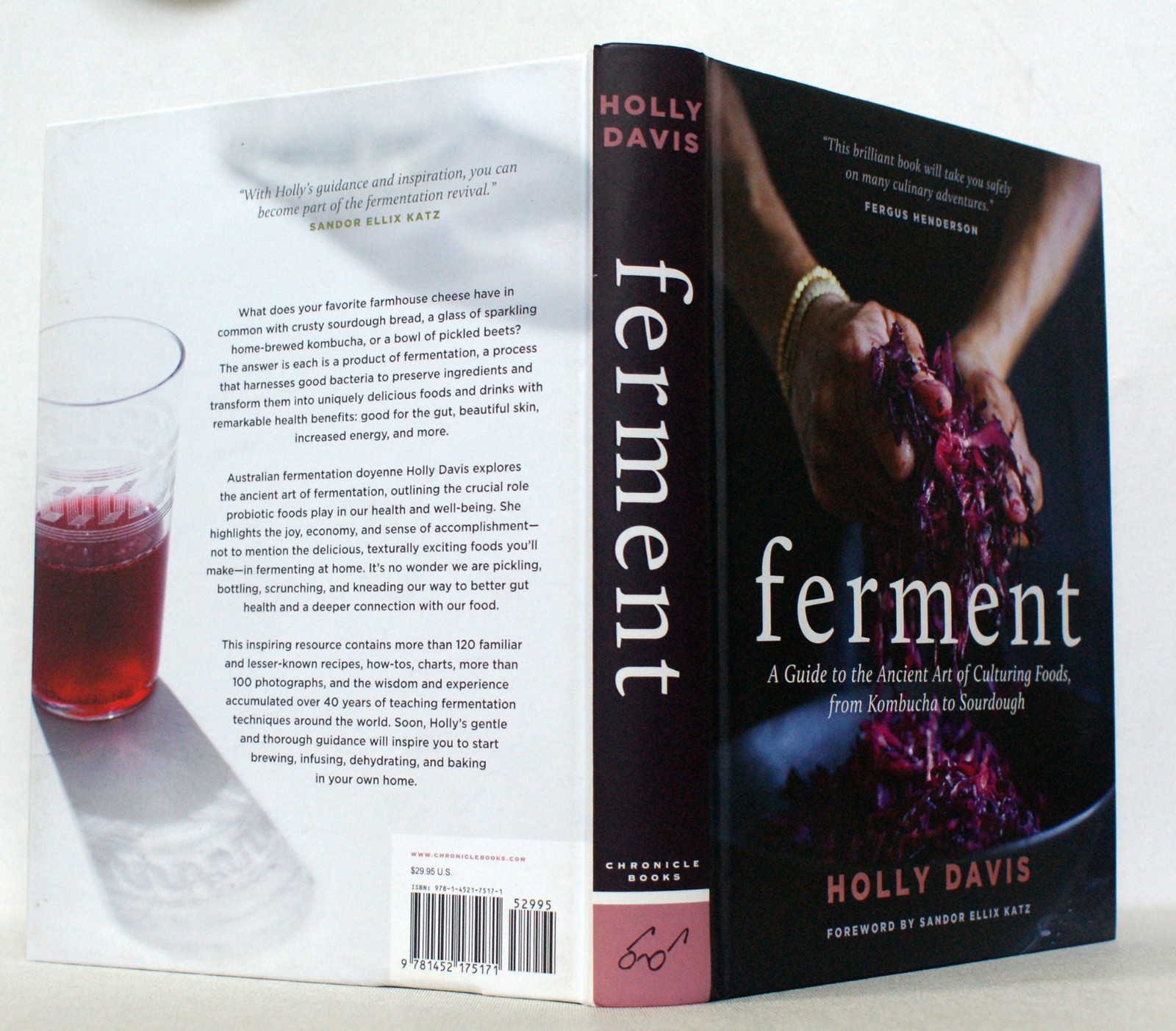 FERMENT by Holly Davis 1st Ed 1st Printing 2017 Chronicle Books, NEW HC [283]