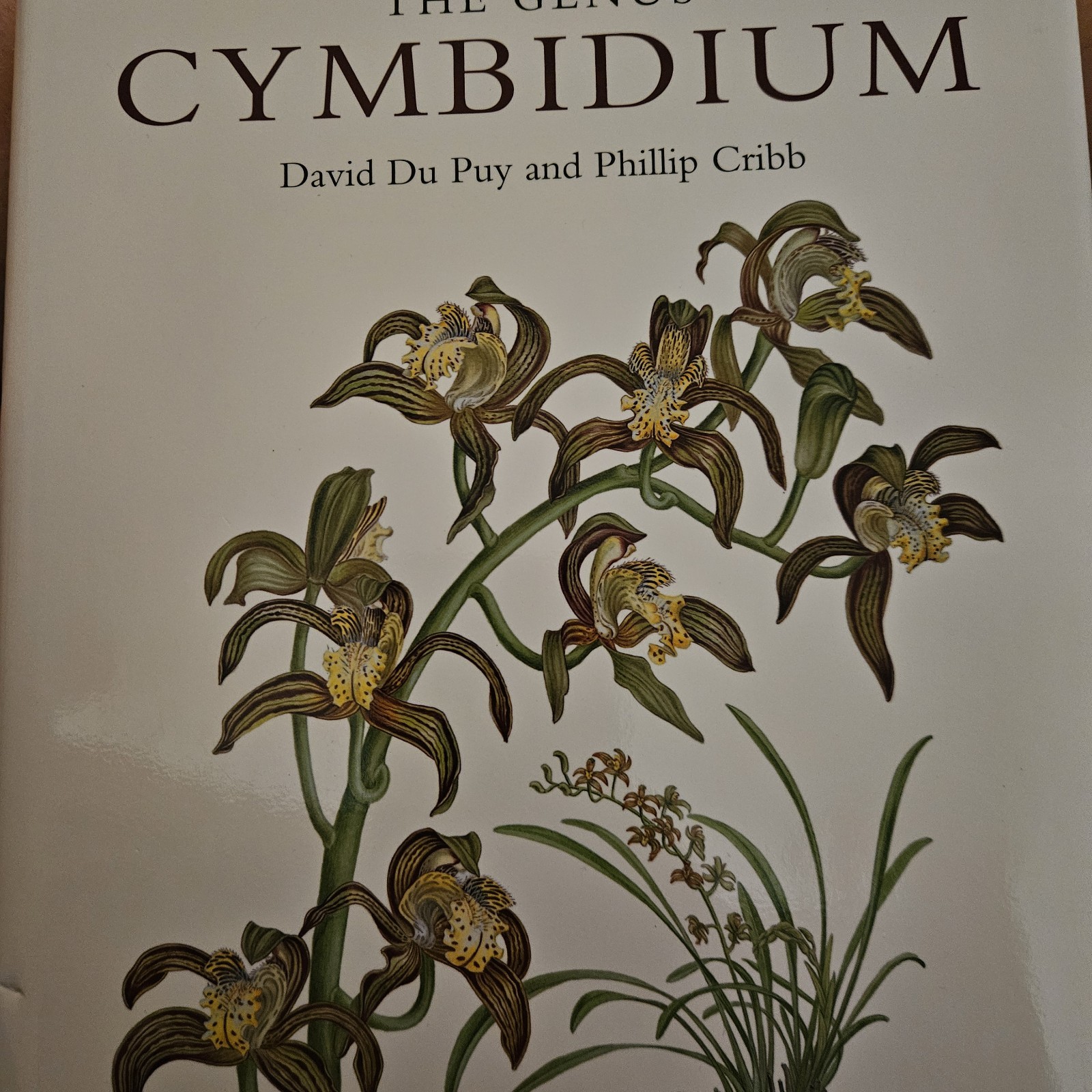 Botanical Magazine Monograph. The Genus Cymbidium by Phillip … – 9781842461471