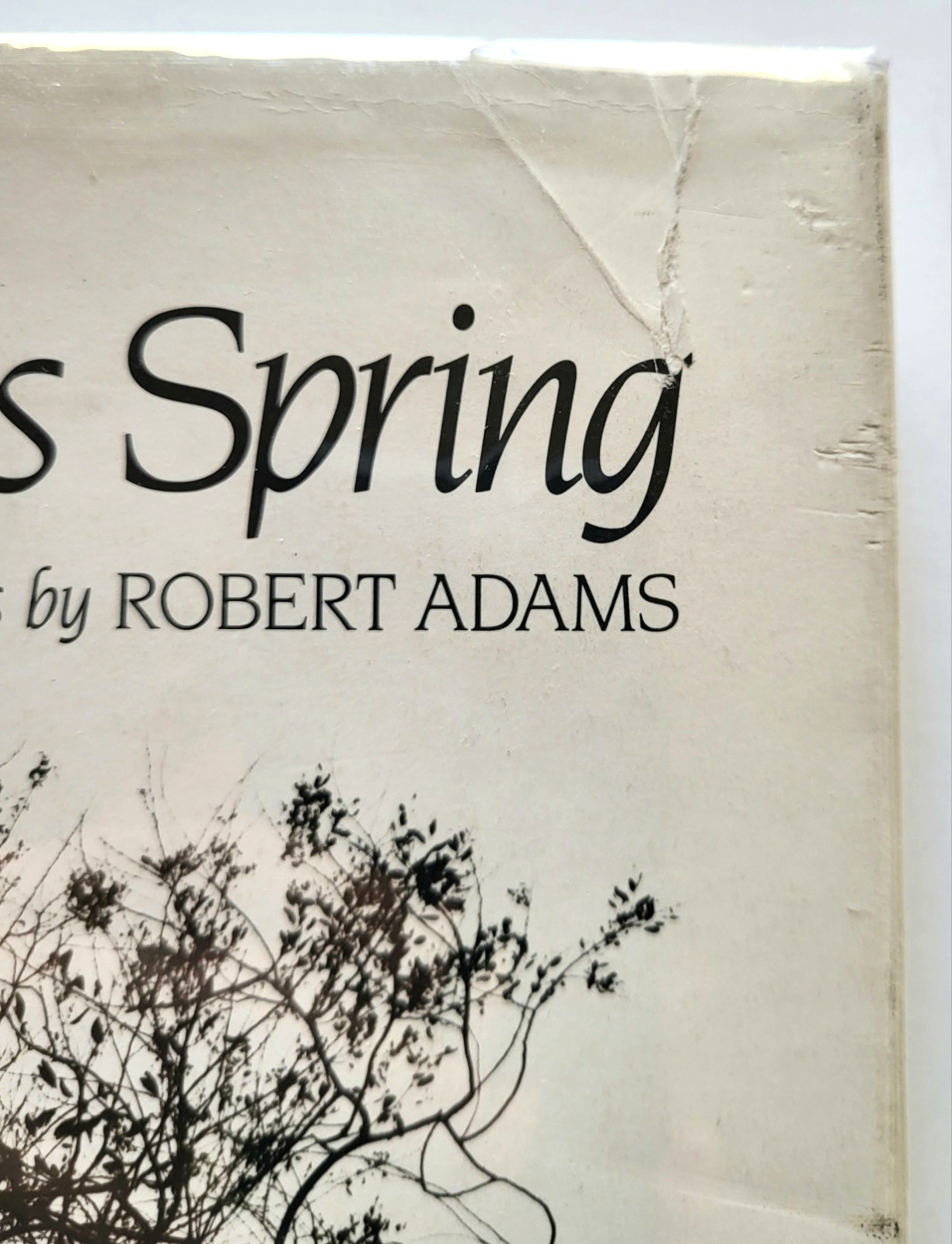 Los Angeles Spring~ Robert Adams, Hardcover 1986 1st Edition VG Cond- READ