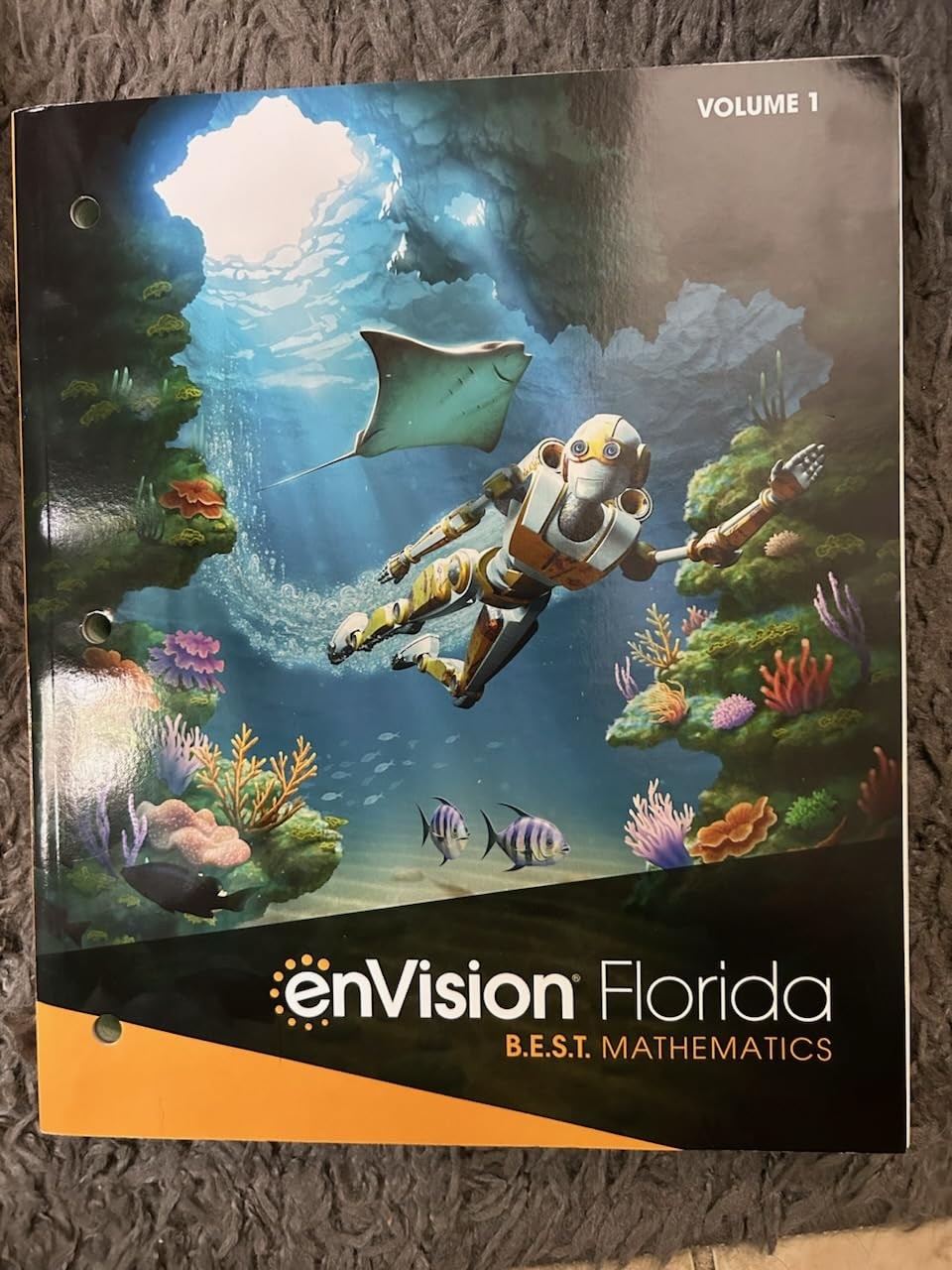 Grade 6 Accelerated Envision Mathematics Florida BEST Student Edition Volume…