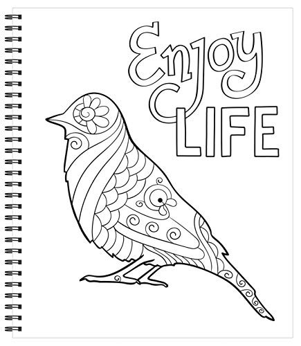 Large Print Easy Color & Frame – Calm (Stress Free Coloring Book)