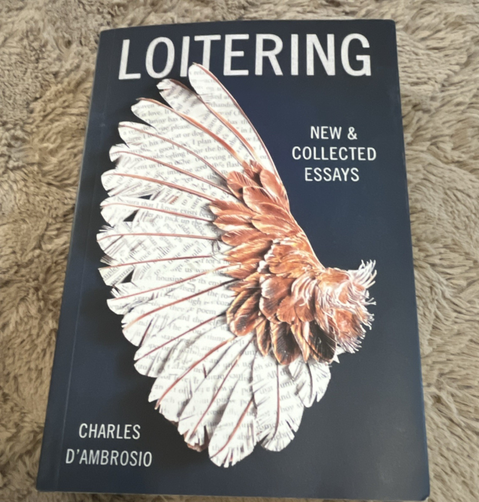 Tin House Books Loitering: New & Collected Essays by Charles D’Ambrosio, Trade …