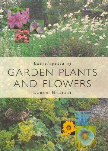 Encyclopedia of Garden Plants and Flowers – Paperback By Hattatt, Lance – GOOD