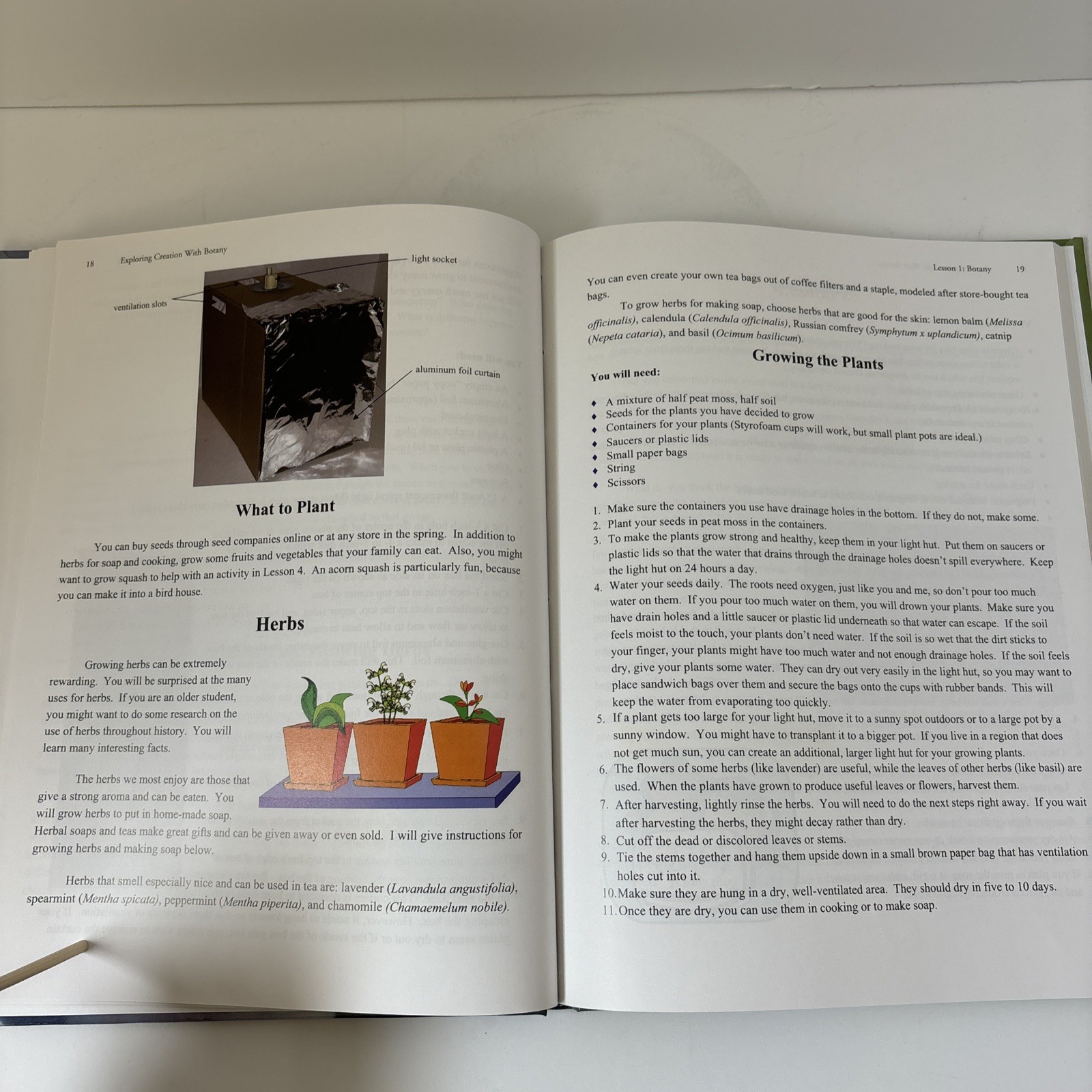 Apologia: Exploring Creation with Botany by Jeannie Fulbright (2004, Hardcover)