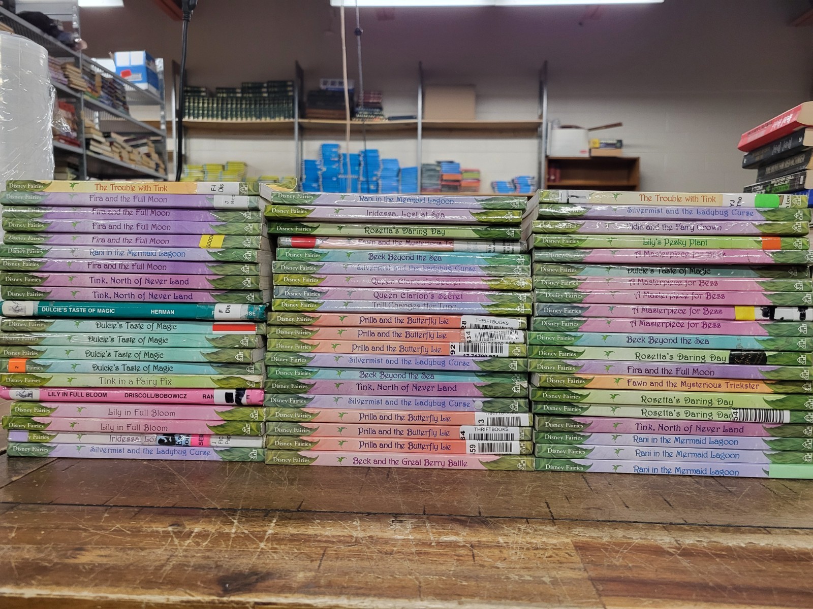 Pixie Hollow Series – Choose Your Own Books Set