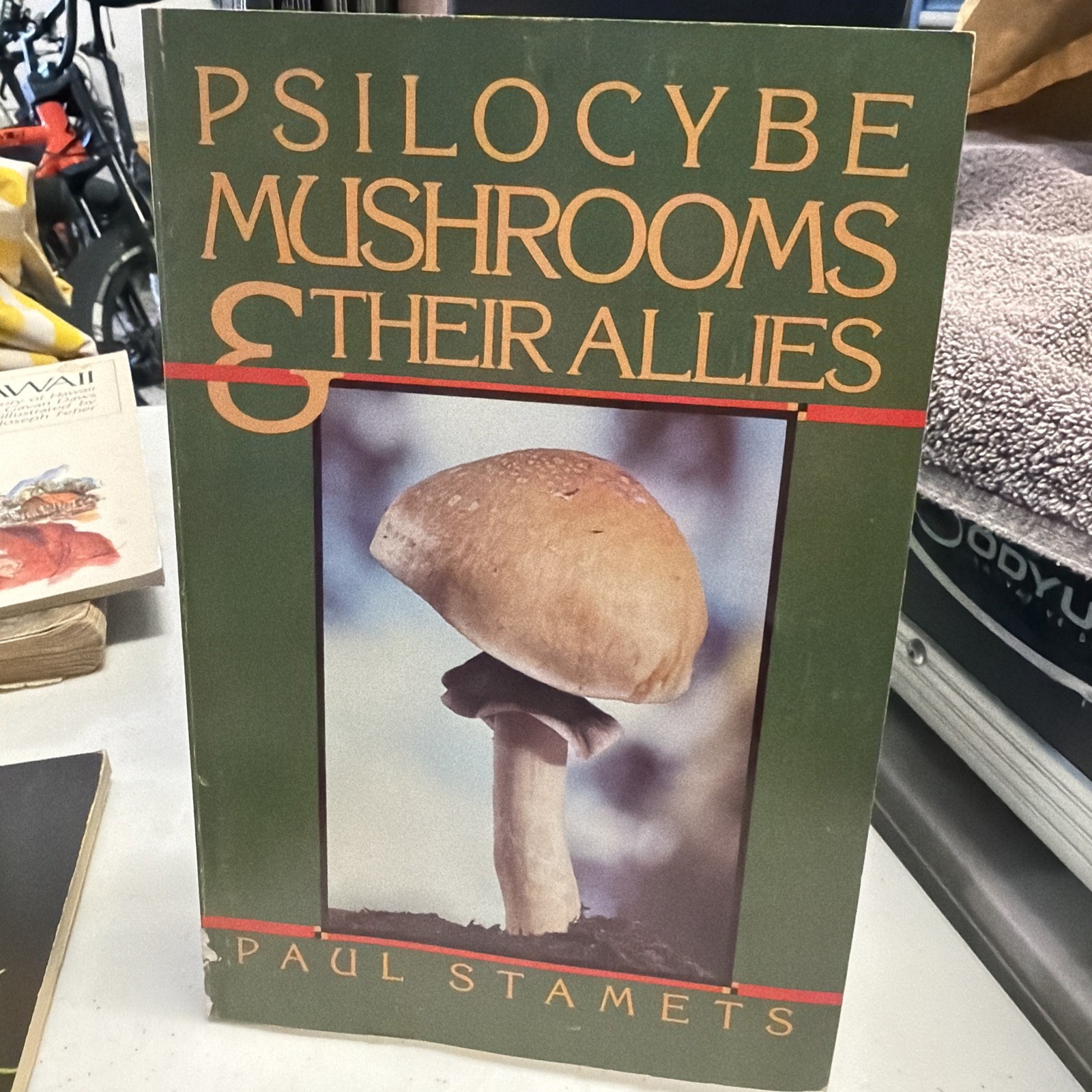 1978 Psilocybe Mushrooms and Their Allies by Paul Stamets