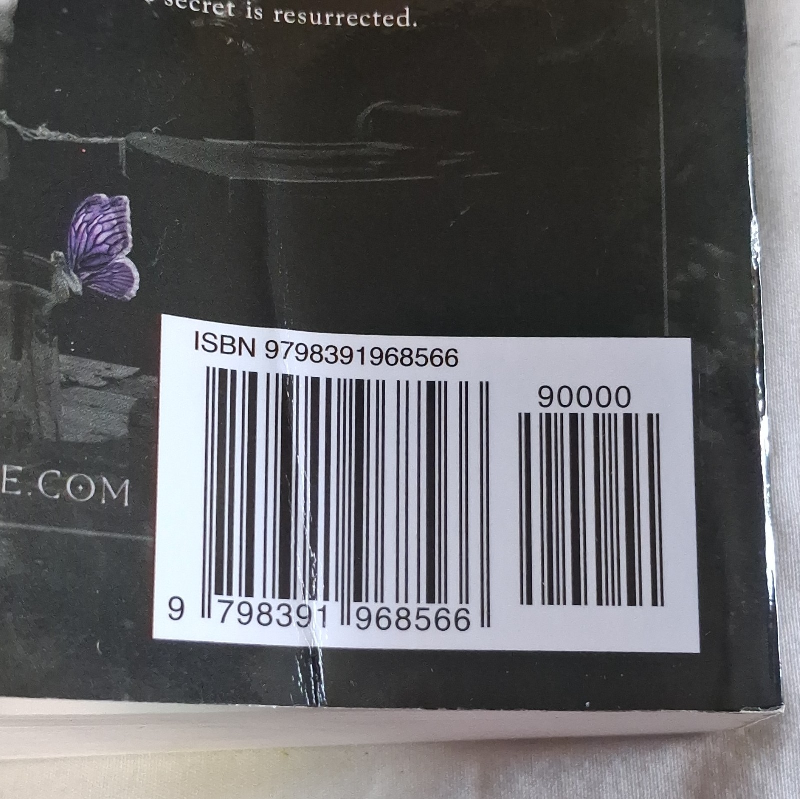 Nocticadia by Keri Lake Paperback Fiction Suspense Novel for Adults