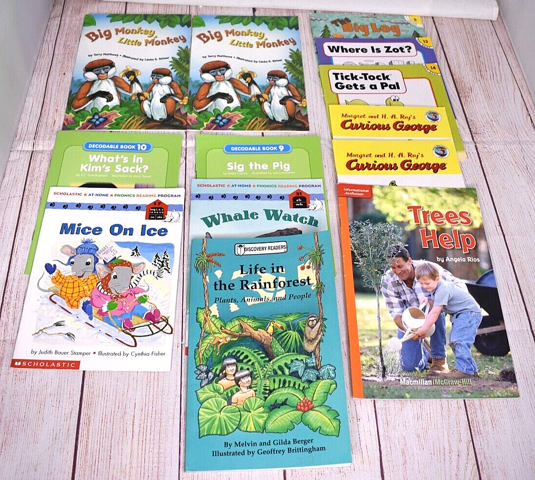 Lot of 13 Phonics Reading Discovery Readers Decodable Learn to Read Books