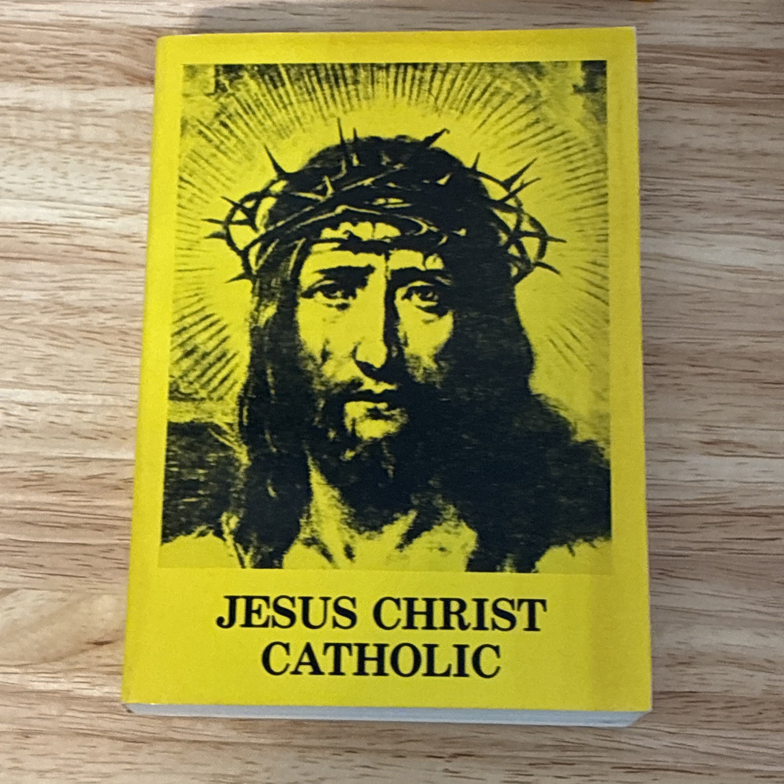 Traditional Catholic Book Lot, 11 piece – Padre Pio – Sinner’s Guide, TAN Books