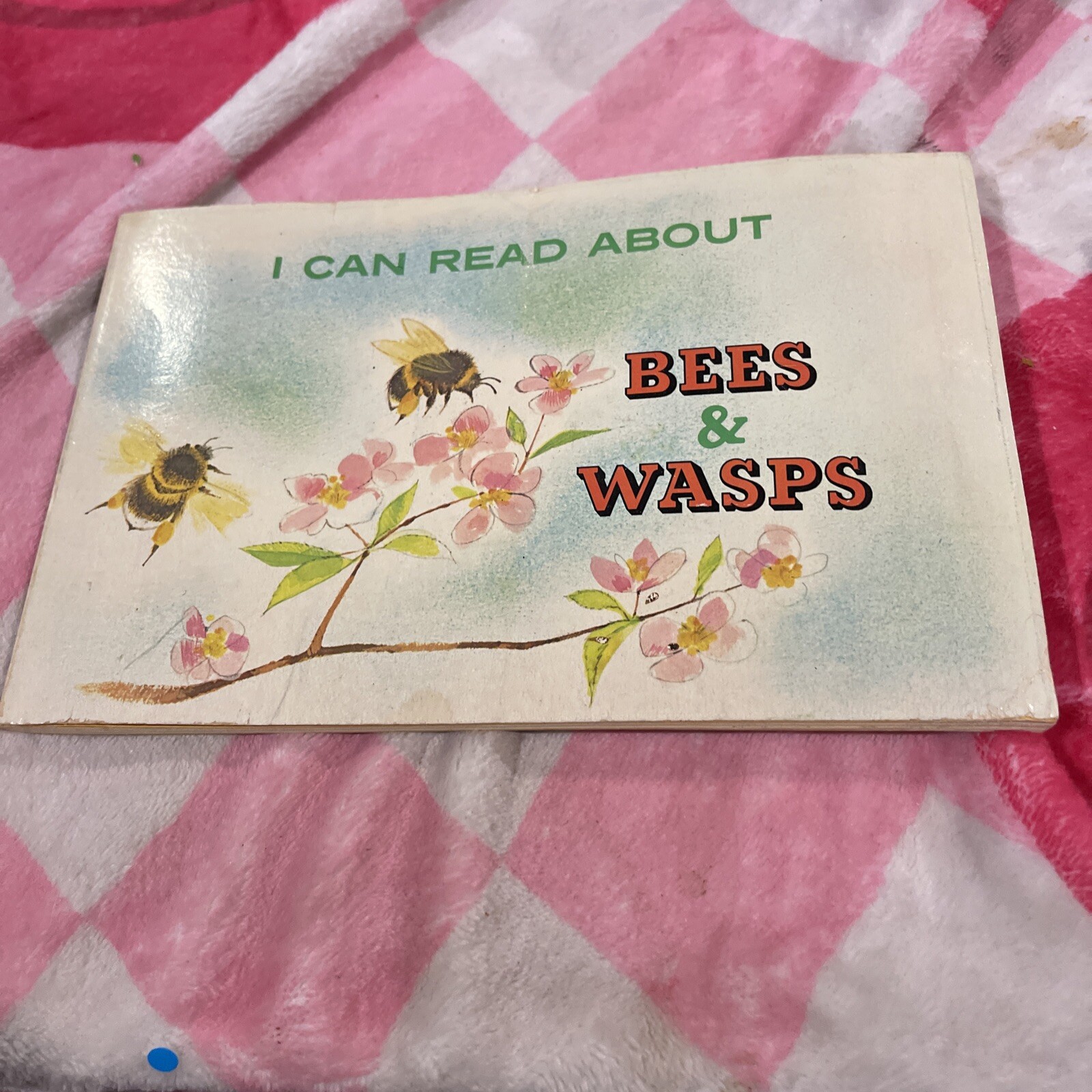 I Can Read About Bees and Wasps 1979