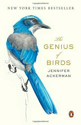 The Genius of Birds – Paperback By Ackerman, Jennifer – GOOD