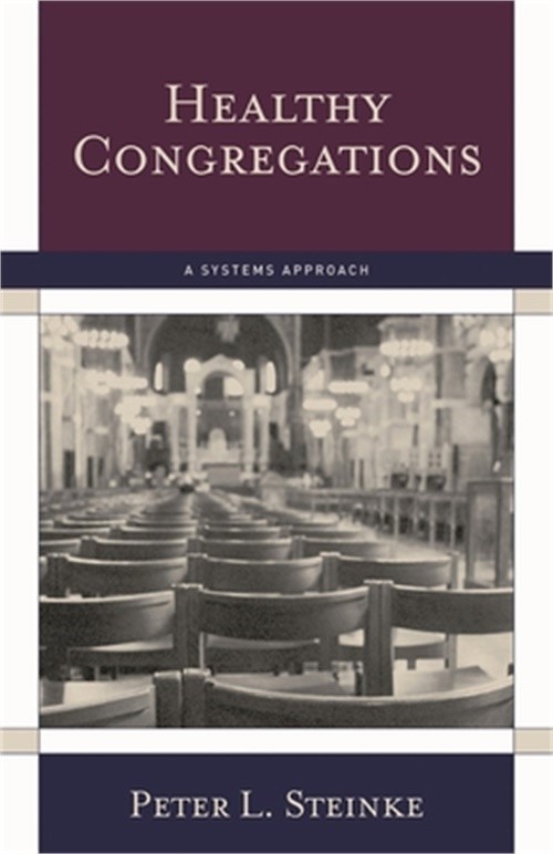 Healthy Congregations: A Systems Approach (Paperback or Softback)